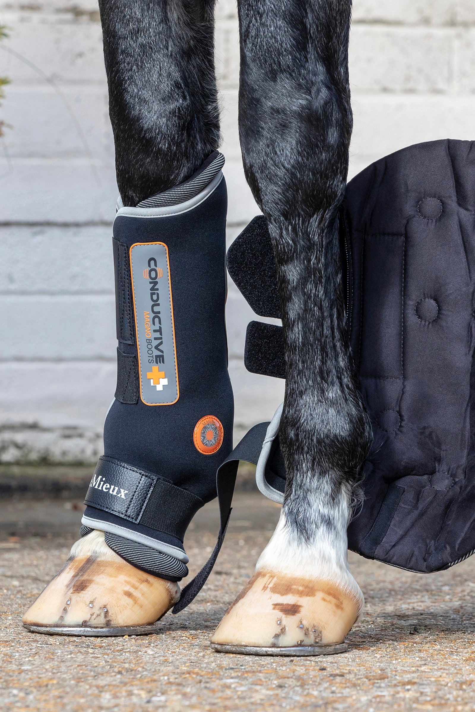 LeMieux Conductive Magno Boots (front / hind) Leg & Hoof Protection