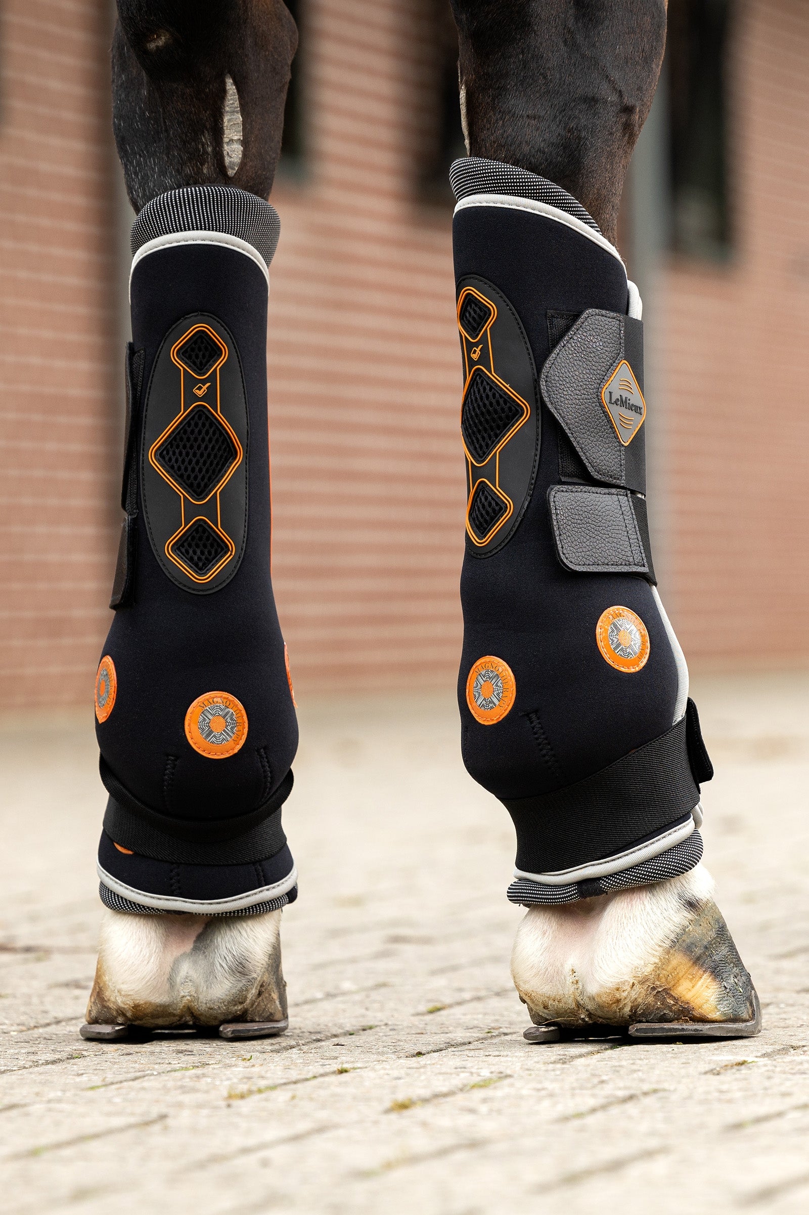 LeMieux Conductive Magno Boots (front / hind) Leg & Hoof Protection