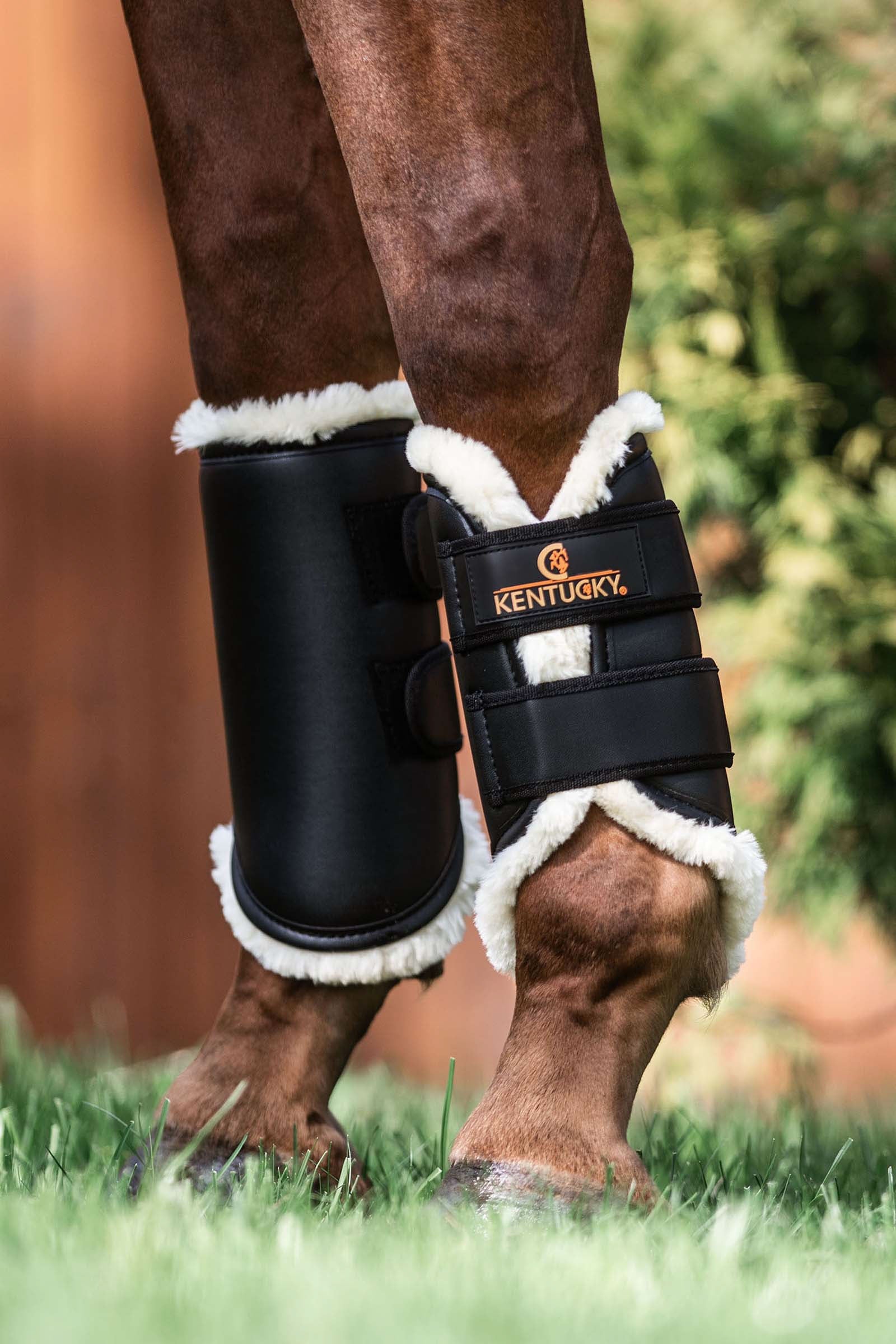 Kentucky Horsewear Kentucky Turnout boots leather, front Leg & Hoof Protection