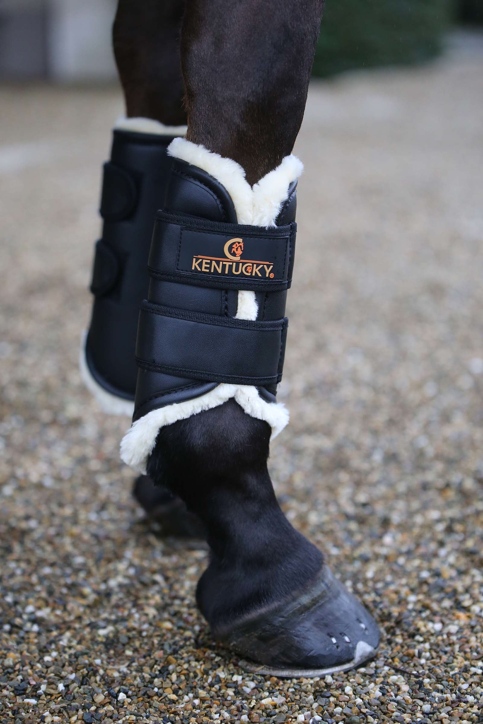 Kentucky Horsewear Kentucky Turnout boots leather, front Leg & Hoof Protection
