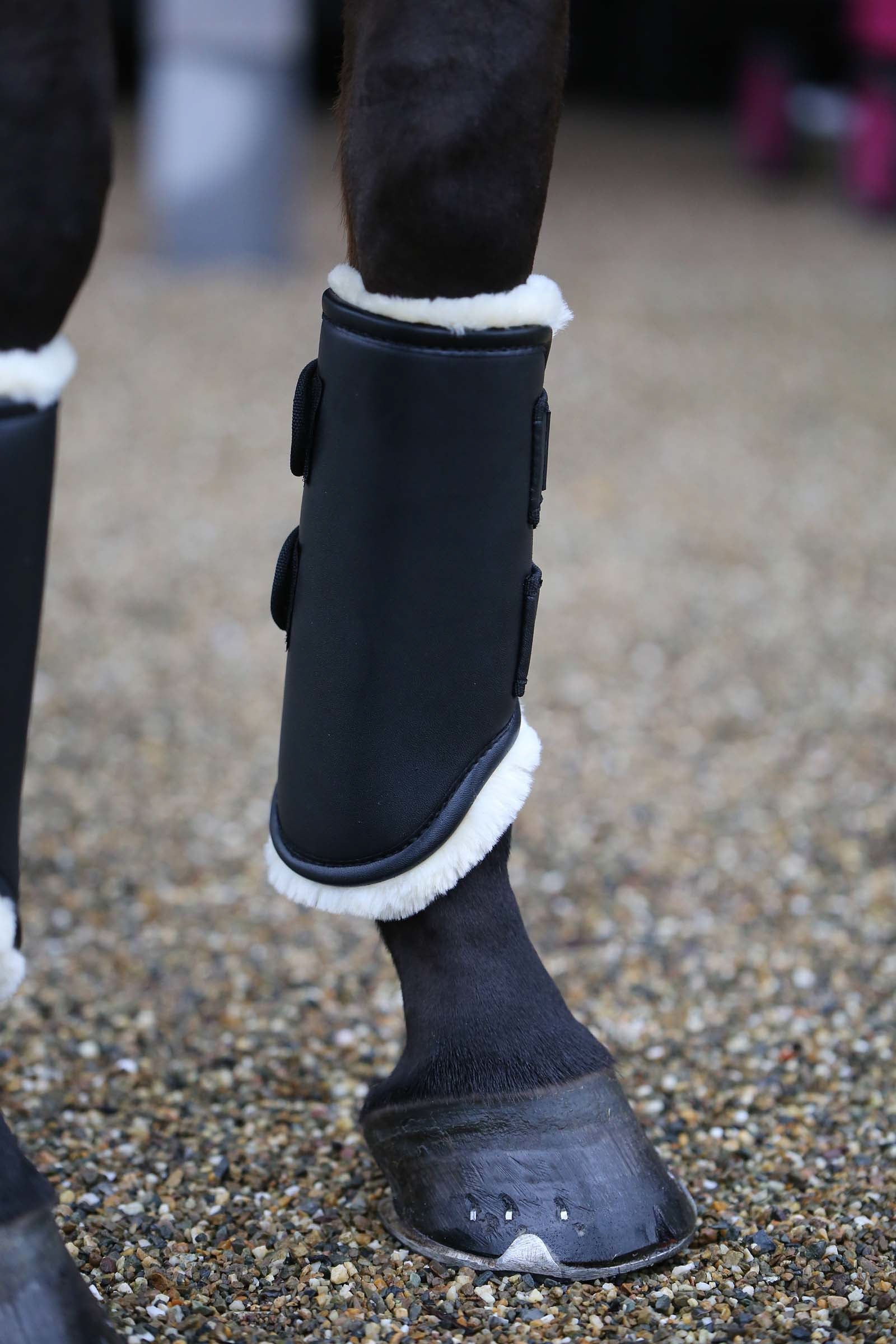Kentucky Horsewear Kentucky Turnout boots leather, front Leg & Hoof Protection