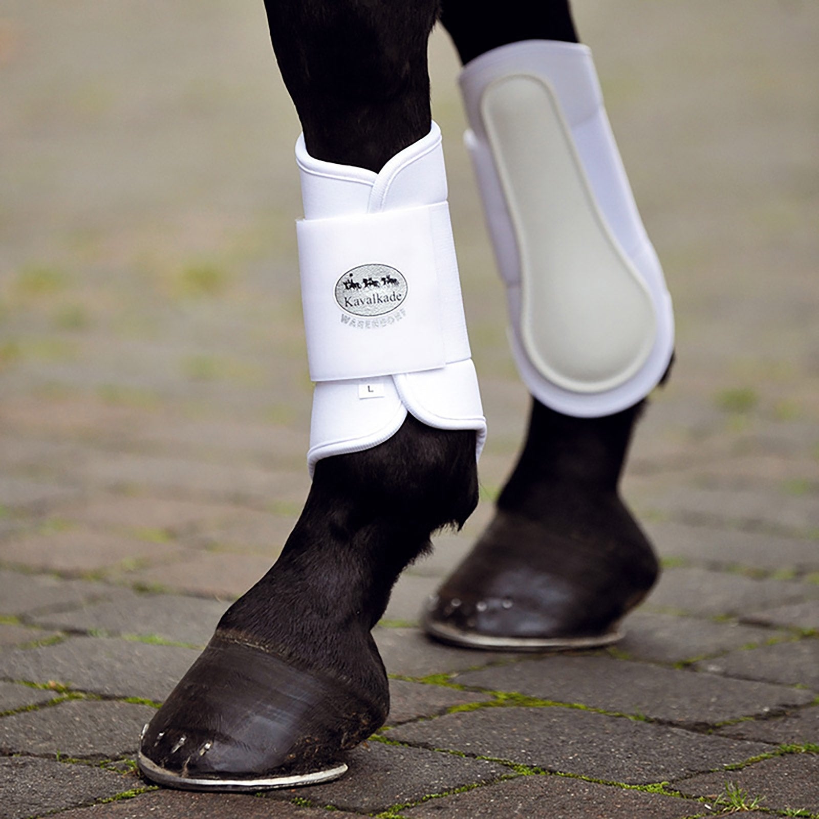 Kavalkade KavalPren Softy Brushing Boots, rear 