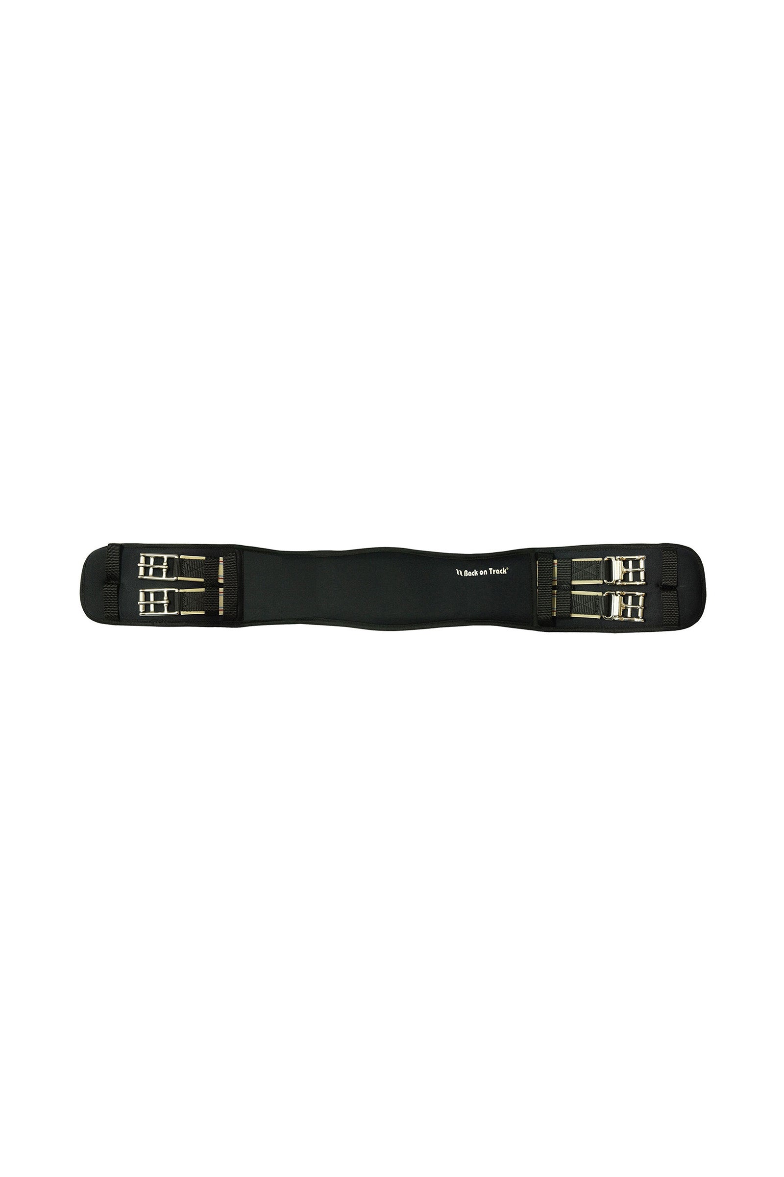 Alt Tag fallback text for IMAGE