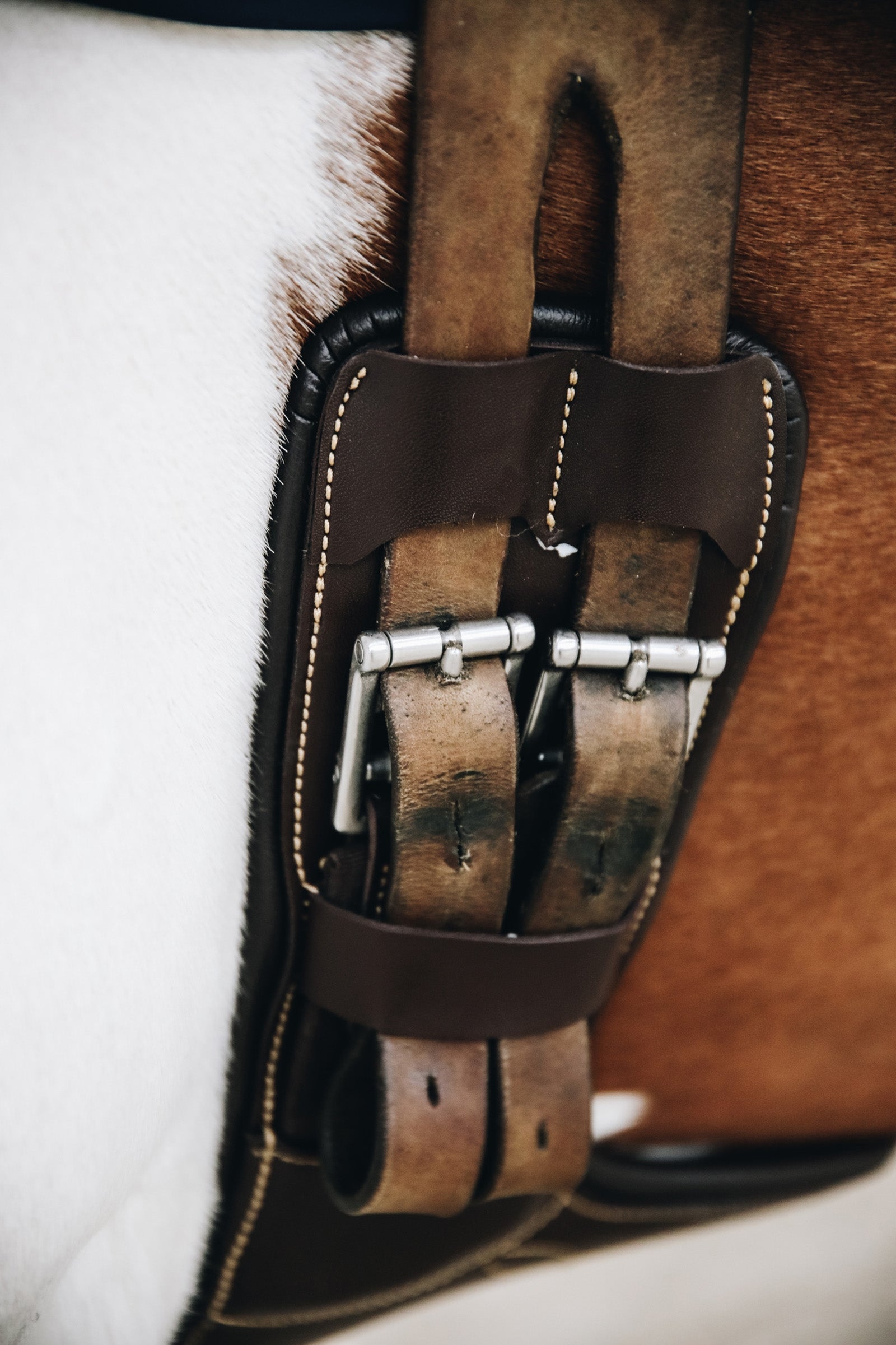 Kentucky Horsewear Short Stud Girth Saddles, Girths & Stirrups