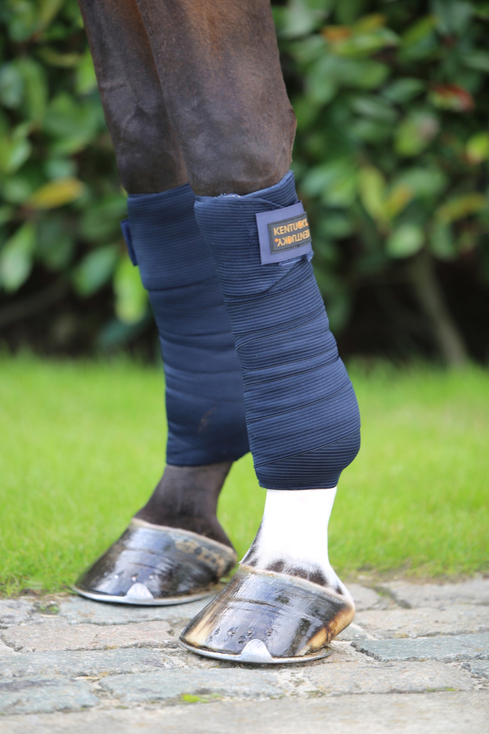 Kentucky Horsewear Elastic Bandages Leg & Hoof Protection