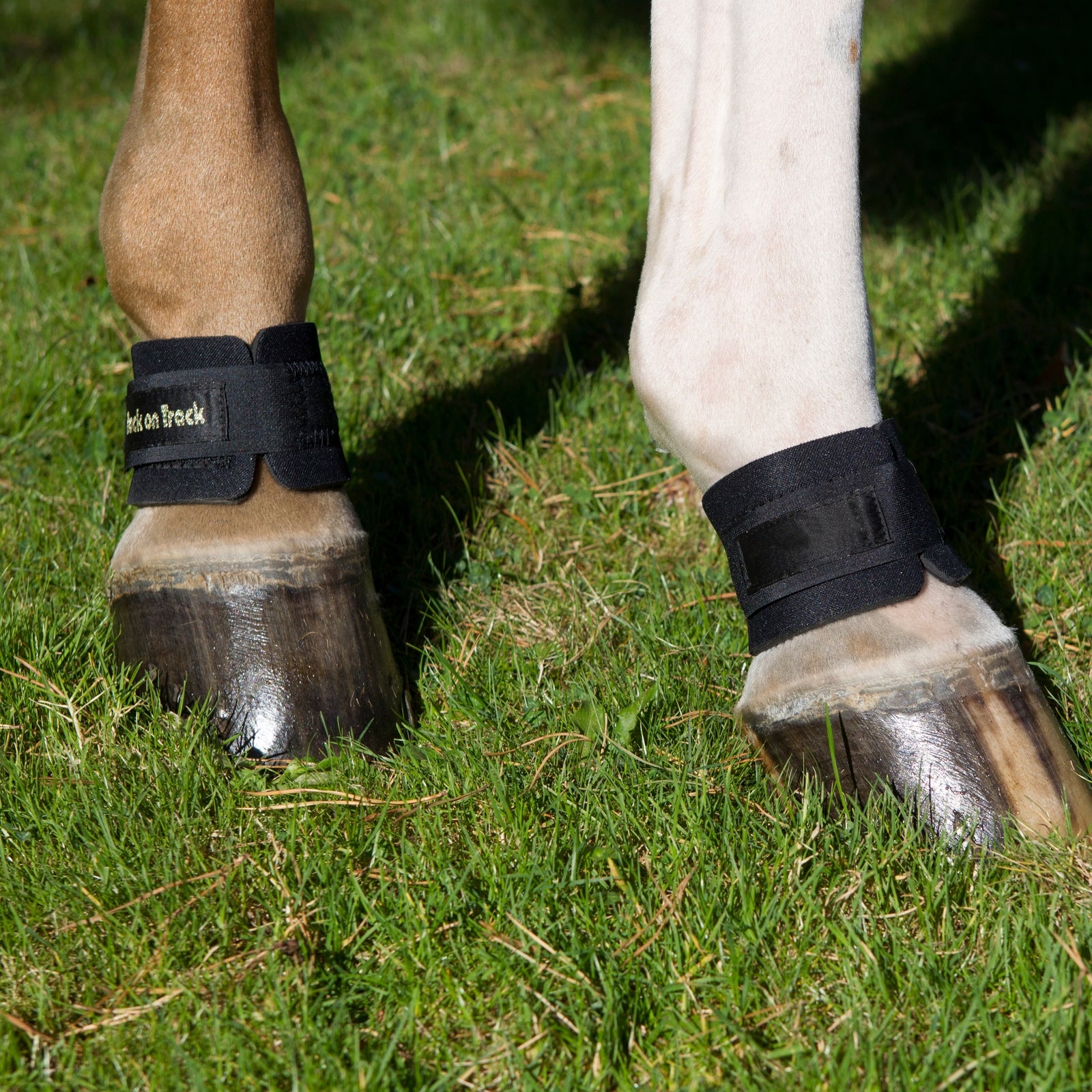 Back on Track Pastern Wrap Leg & Hoof Protection