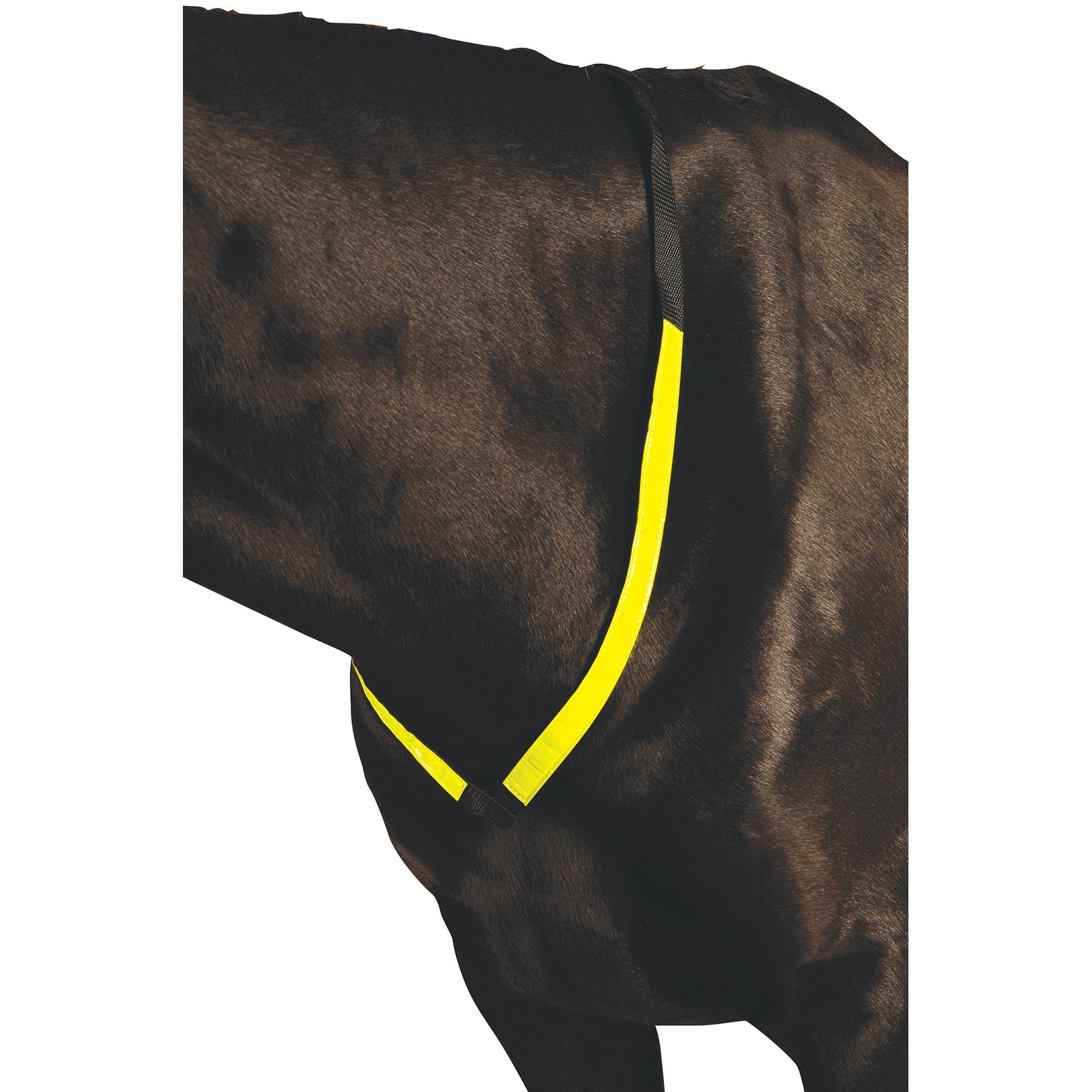 Roma Reflective Breastplate Bridles & Reins