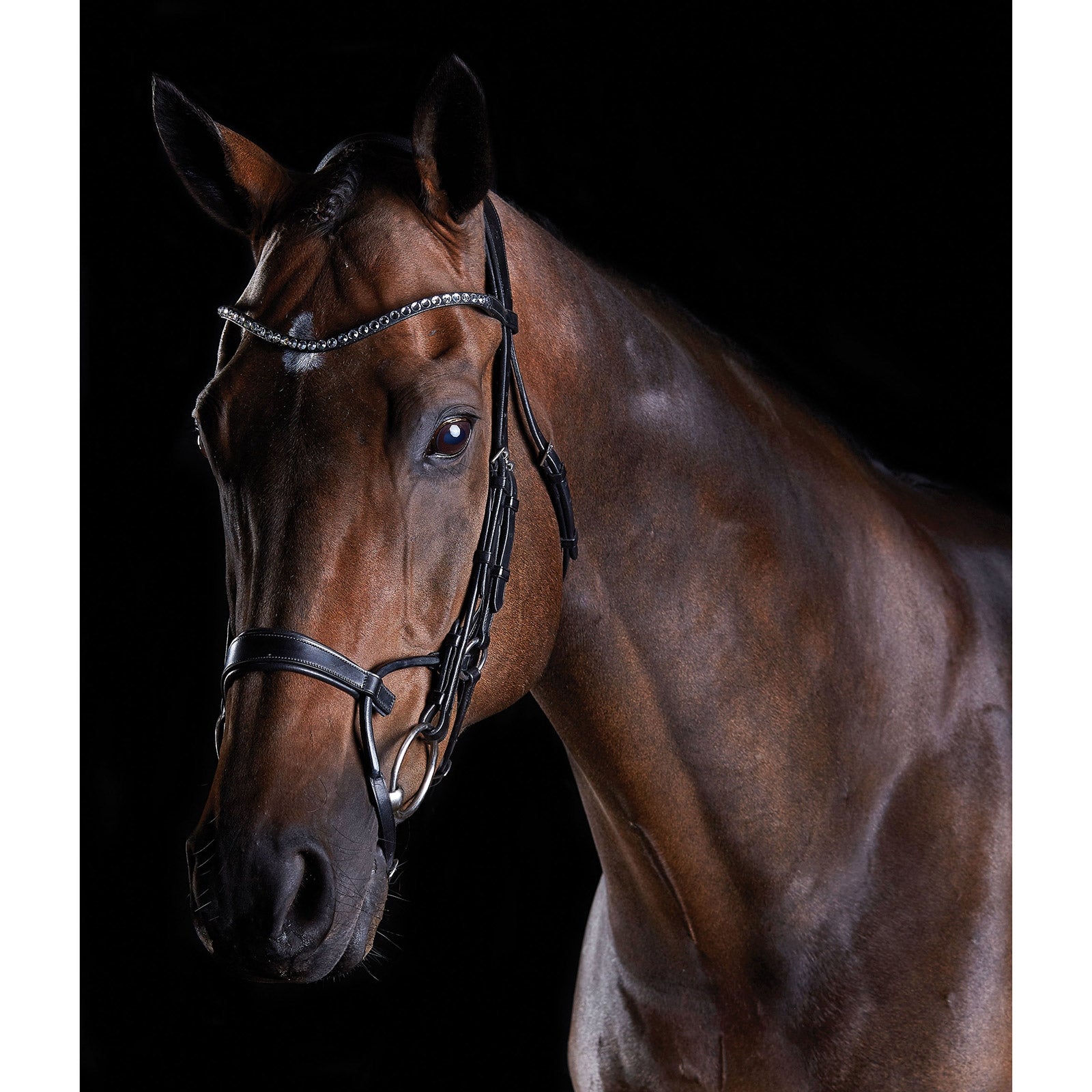 Collegiate ComFiTec Crystal Bridle Bridles & Reins