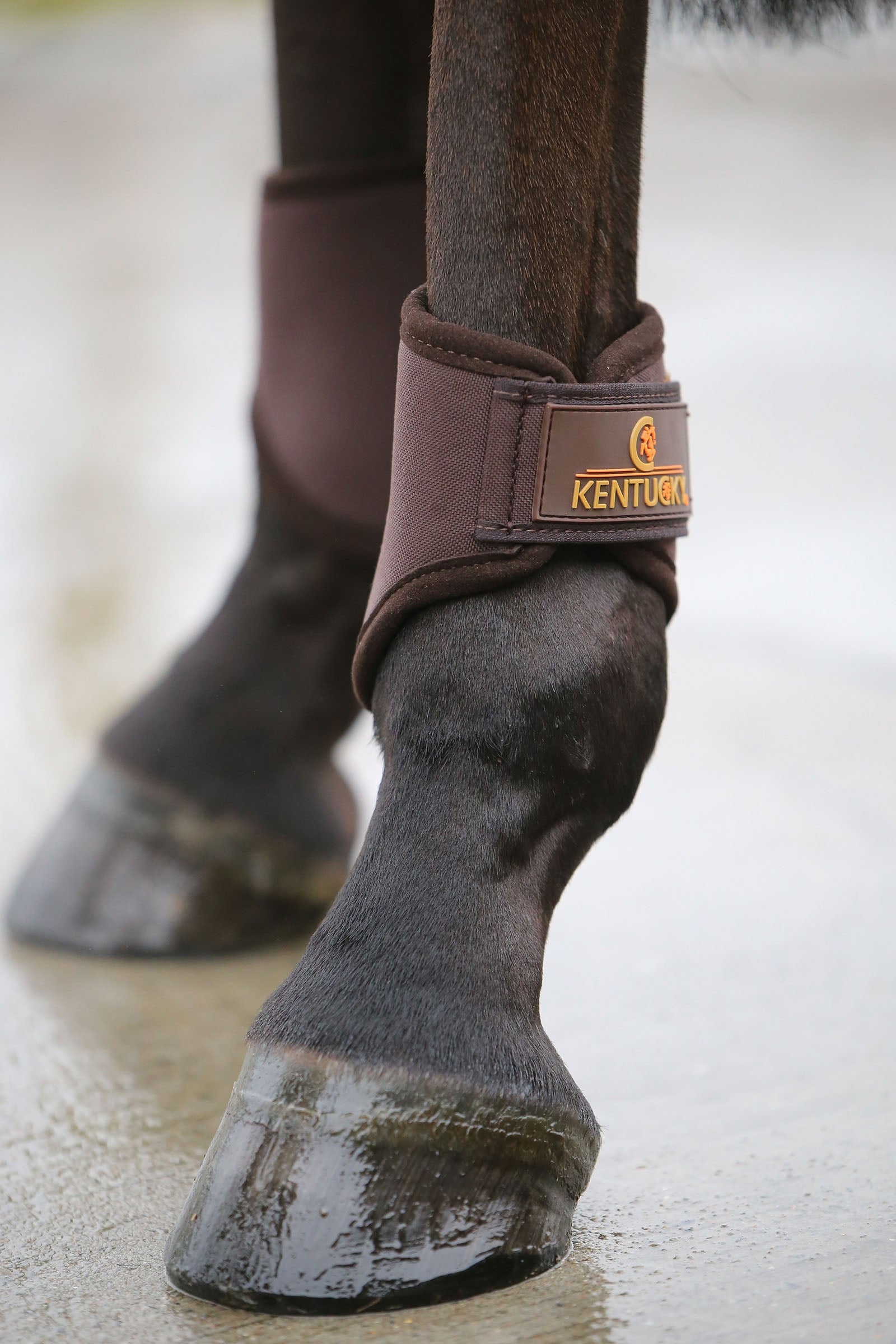 Kentucky Horsewear Kentucky 3D Spacer Hind Leg & Hoof Protection