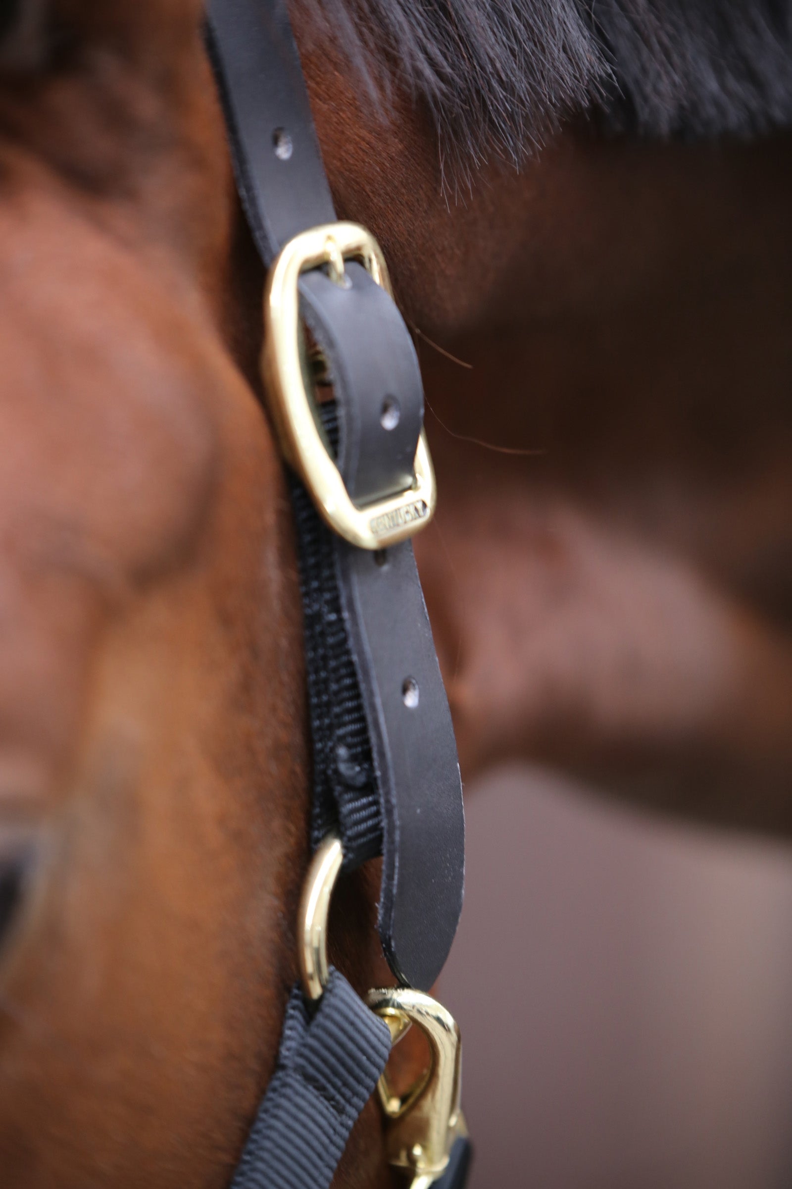 Kentucky Horsewear Control Halter Halters & Leads