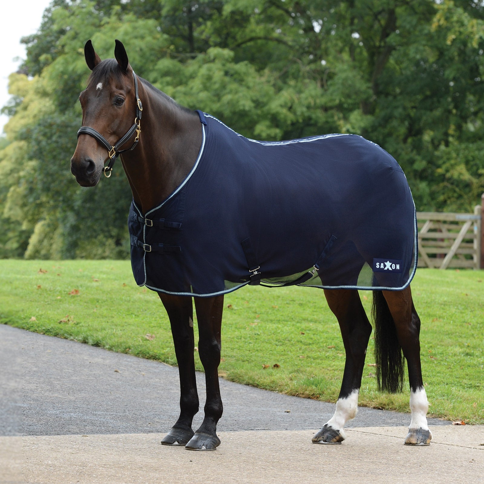 Saxon Element Mesh Rug Horse Rugs