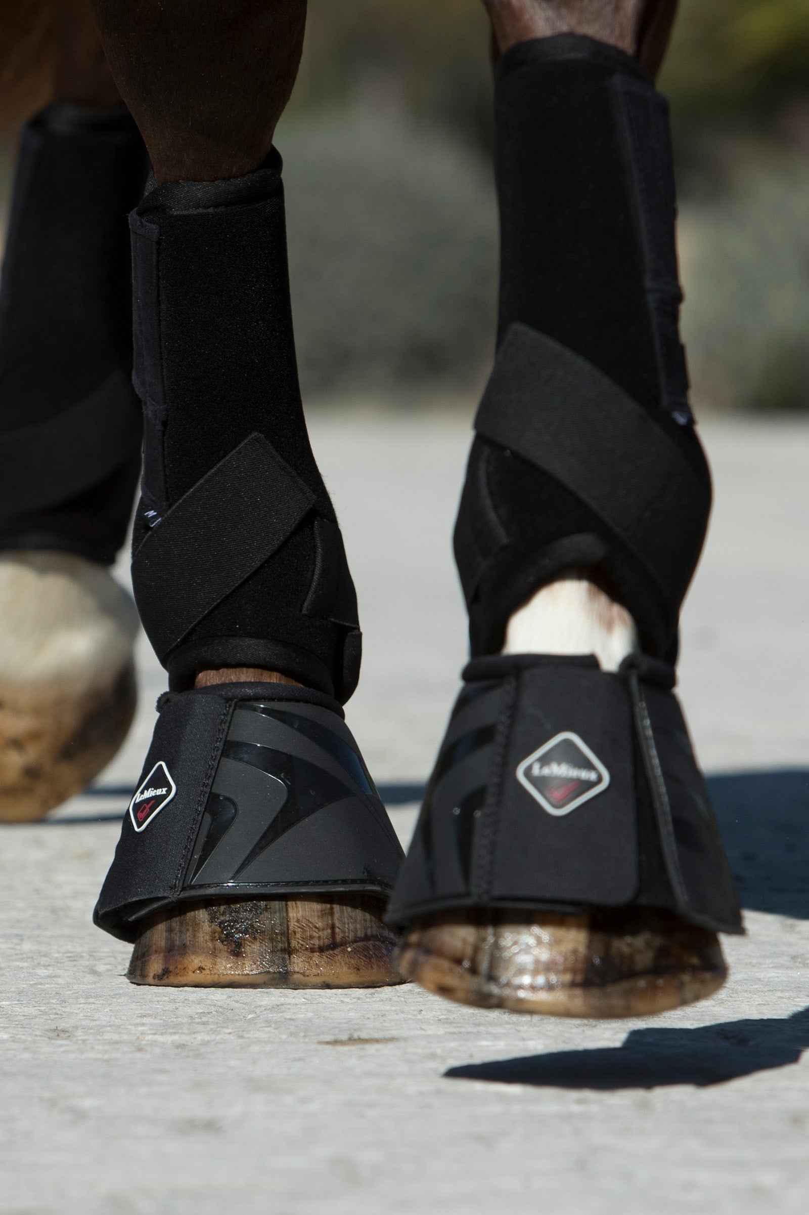 LeMieux ProShell Over Reach Boot Leg & Hoof Protection