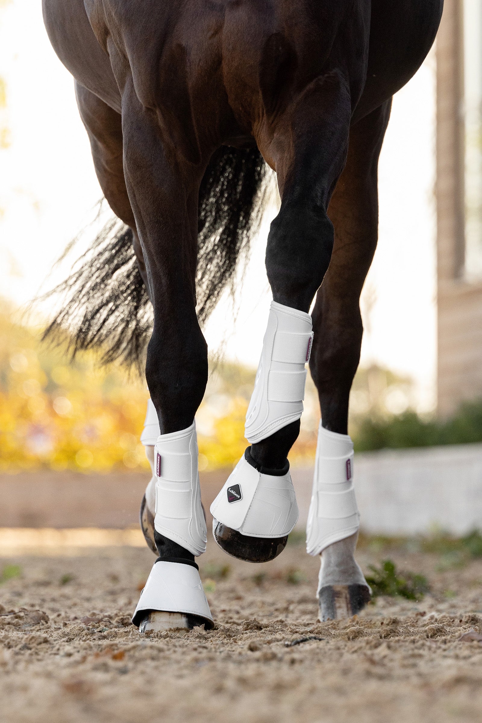 LeMieux ProShell Over Reach Boot Leg & Hoof Protection