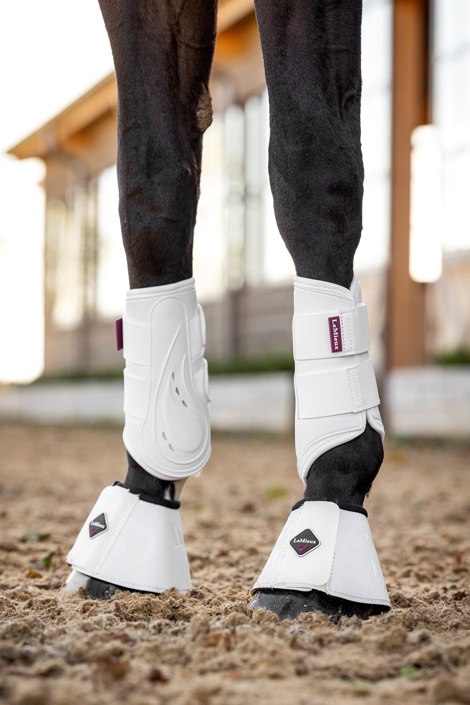 LeMieux ProShell Over Reach Boot Leg & Hoof Protection
