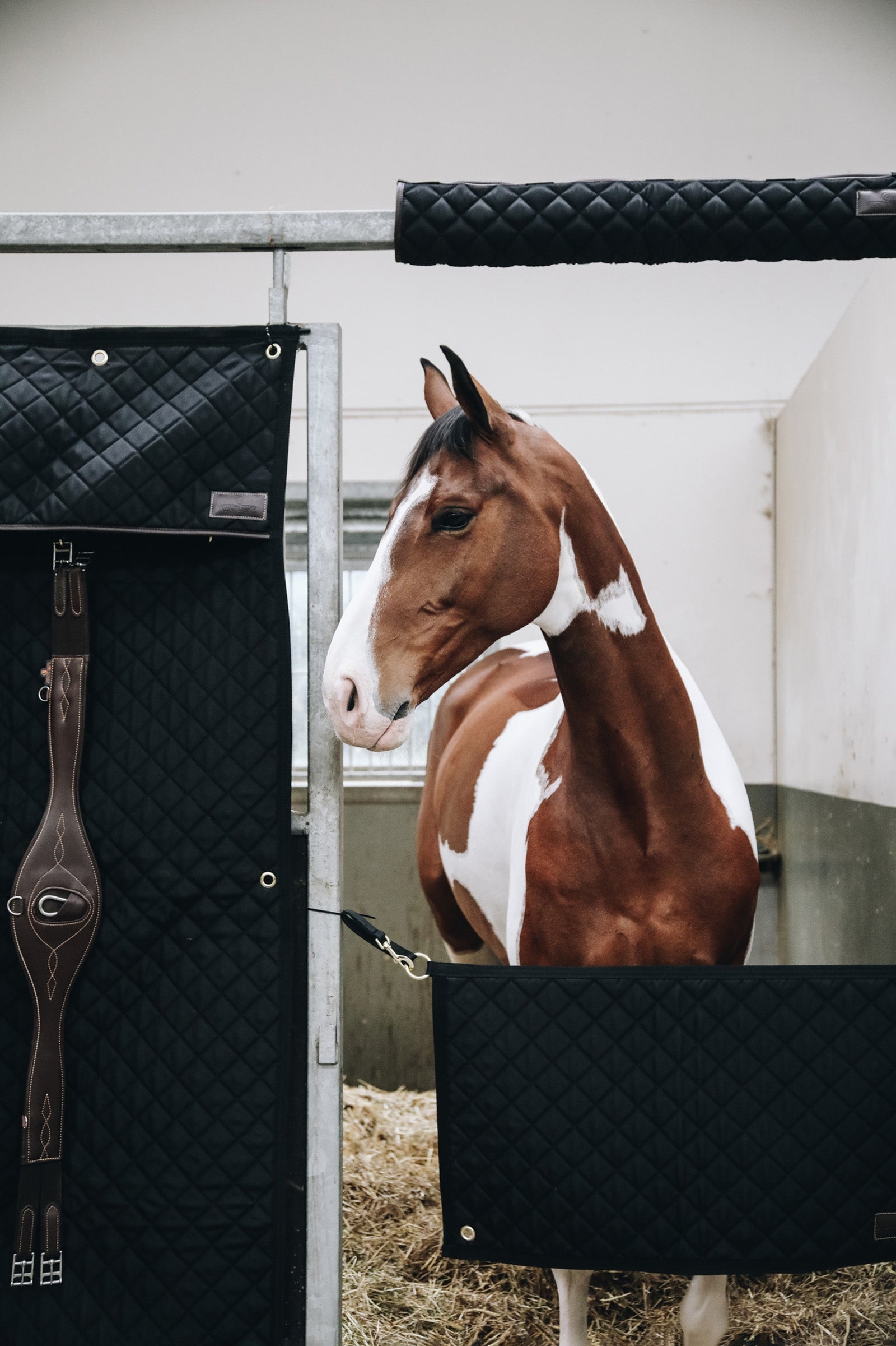 Kentucky Horsewear Stable Guard Stable Equipment