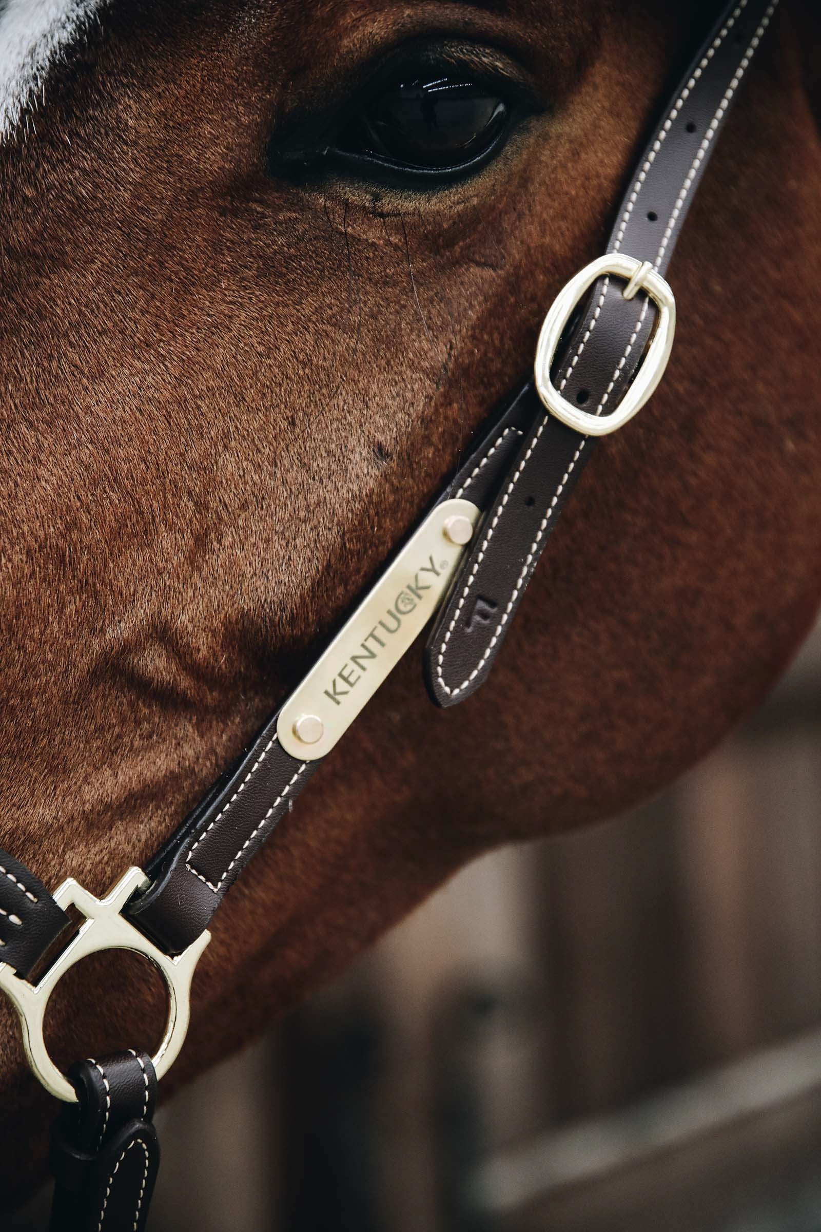 Kentucky Horsewear Leather Grooming Halter Halters & Leads