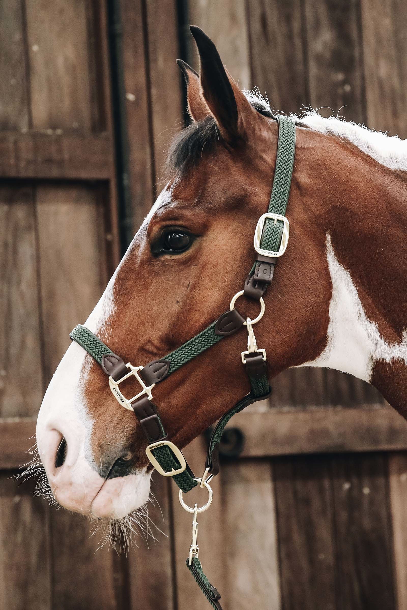 Kentucky Horsewear Kentucky Plaited Nylon Halter Halters & Leads