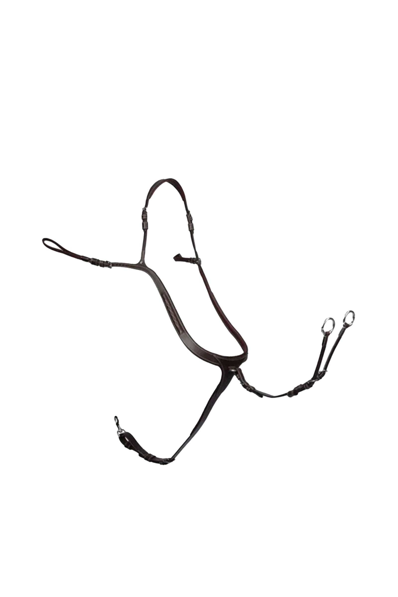 Alt Tag fallback text for IMAGE