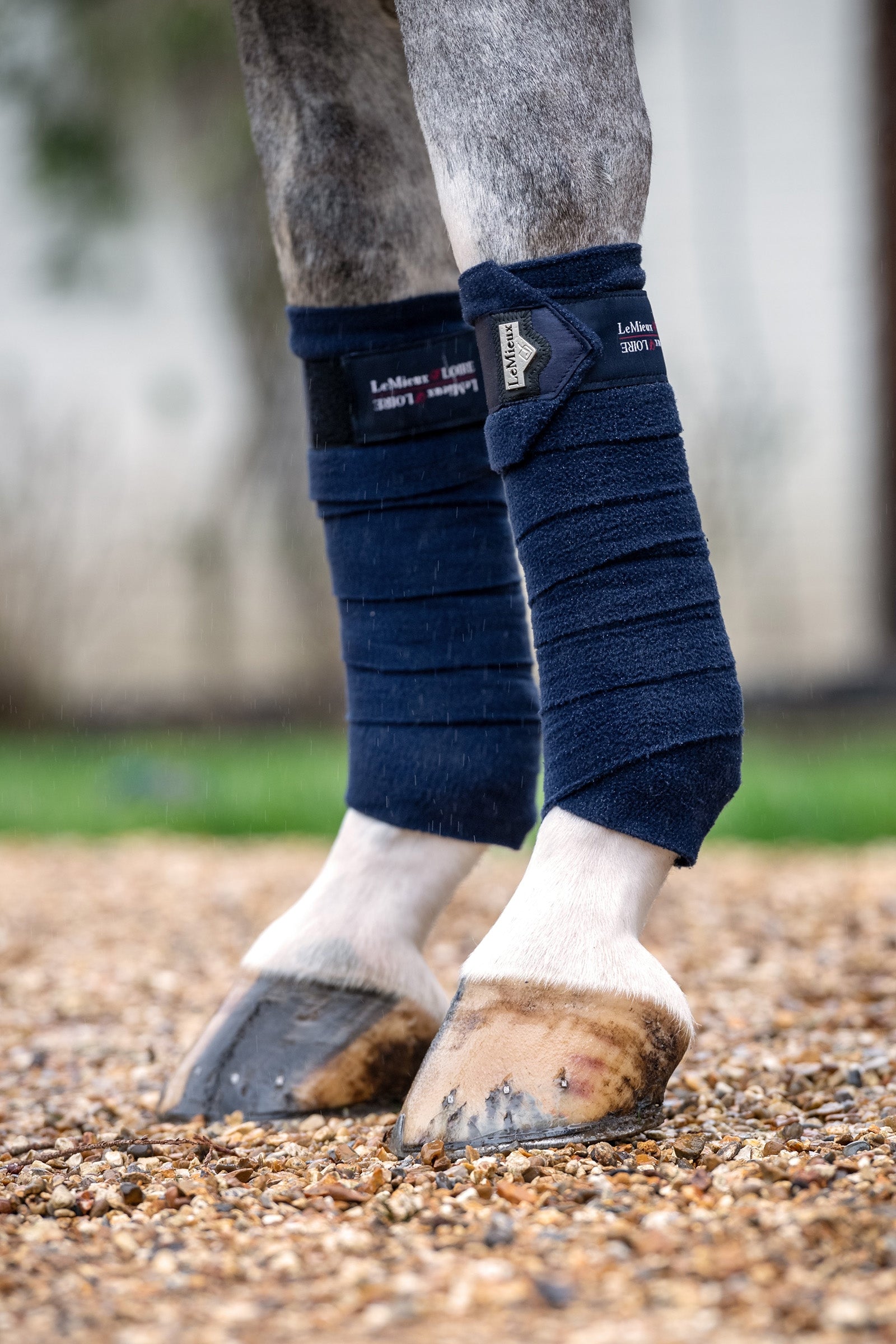 LeMieux Loire Polo Bandages Leg & Hoof Protection
