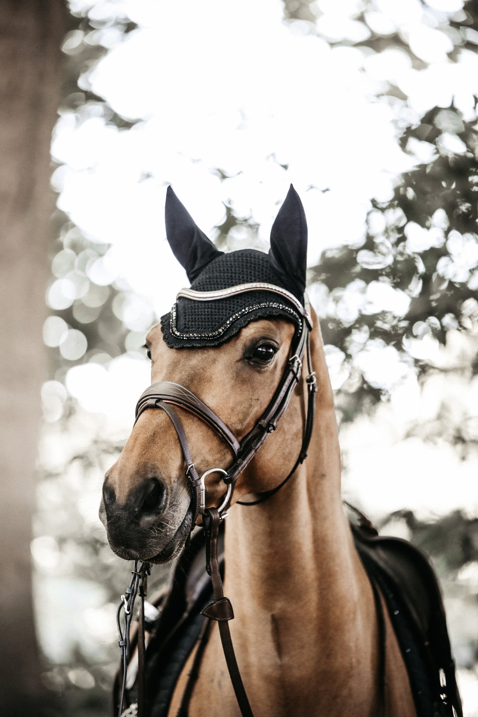 Kentucky Horsewear Fly Veil Wellington Stone & Pearl Saddle Pads