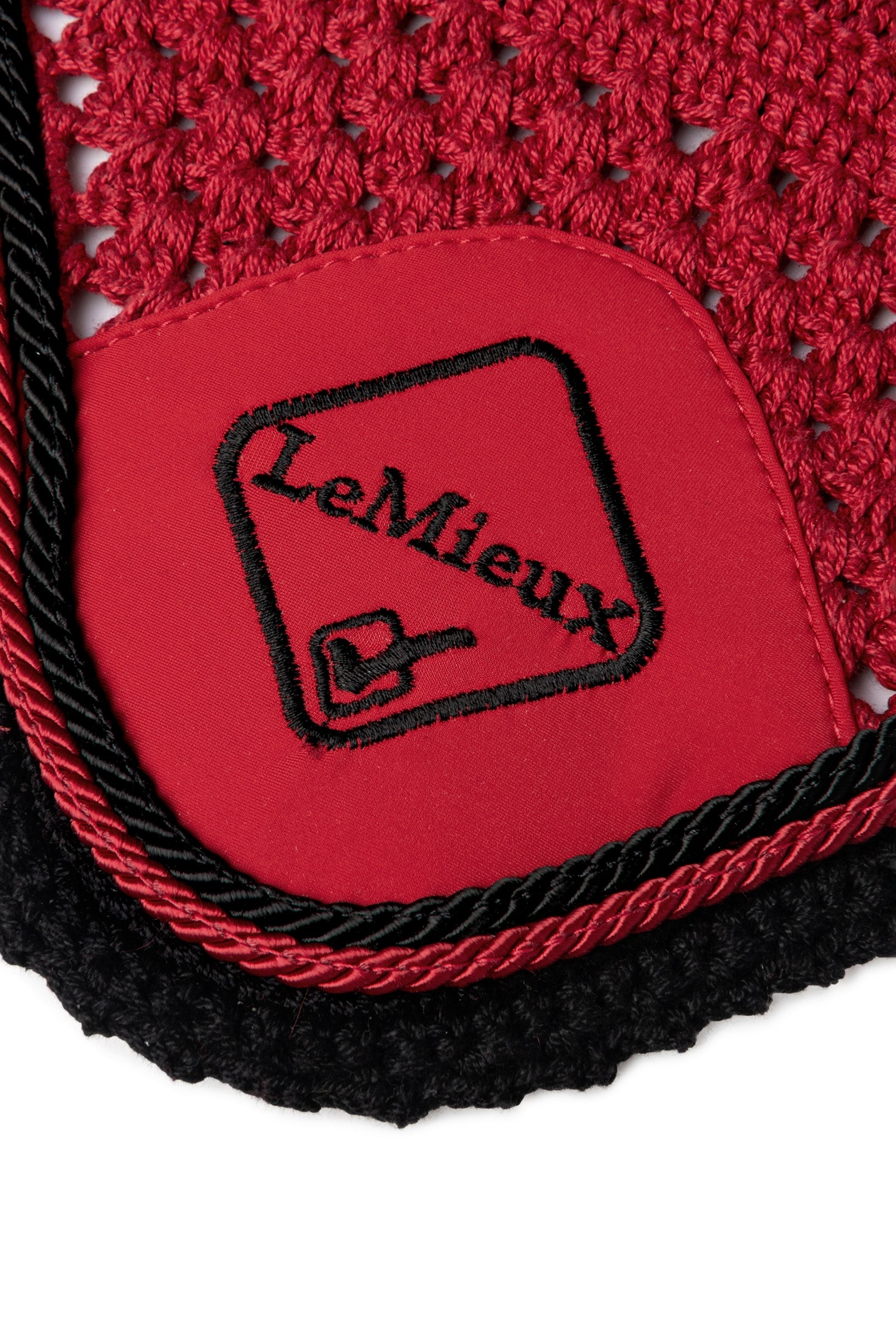 Alt Tag fallback text for IMAGE