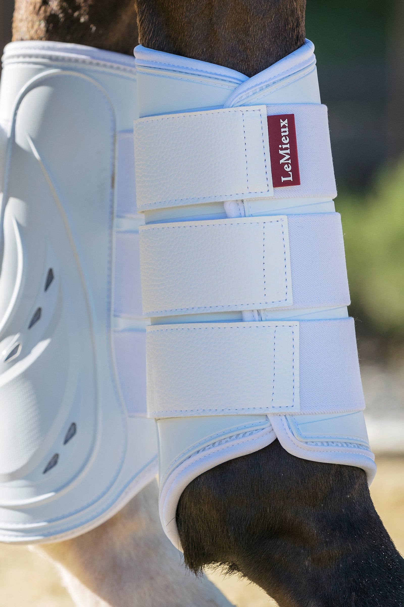 LeMieux ProShell Brushing Boots Leg & Hoof Protection