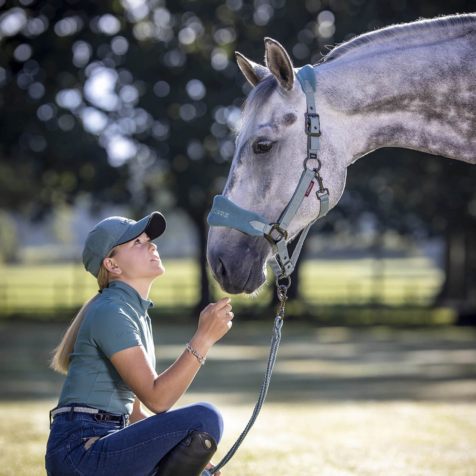 LeMieux Vogue Head Collars Halters & Leads