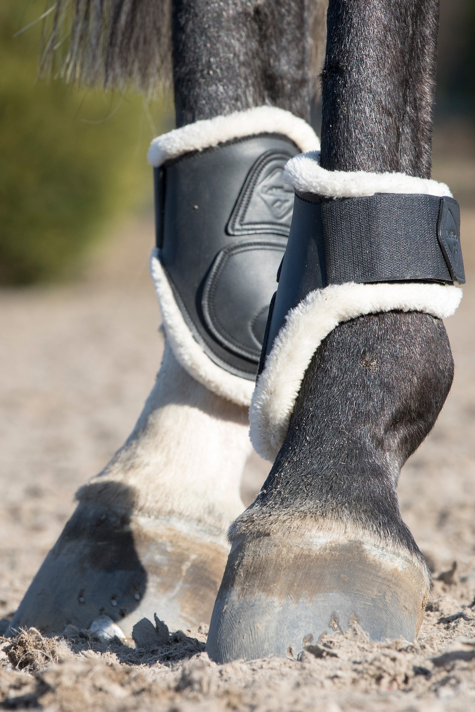 LeMieux Capella Leather Comfort Fetlock Boots Leg & Hoof Protection