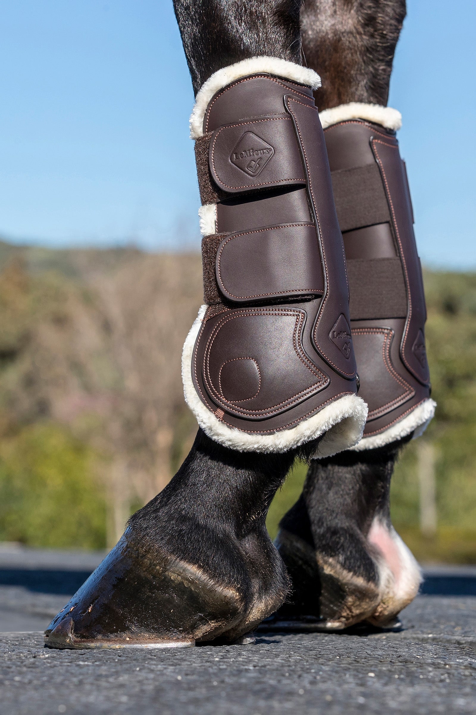 LeMieux Capella Leather Comfort Tendon Boots Leg & Hoof Protection