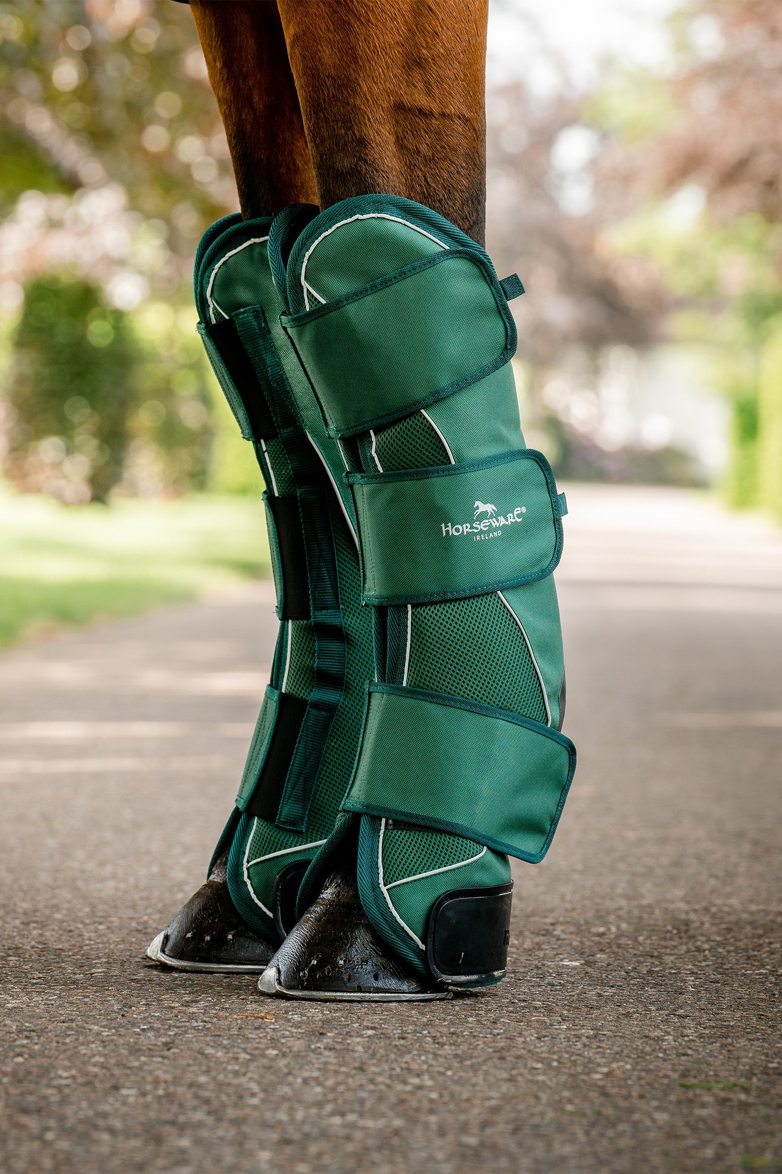 Horseware Signature Travel Boots Leg & Hoof Protection
