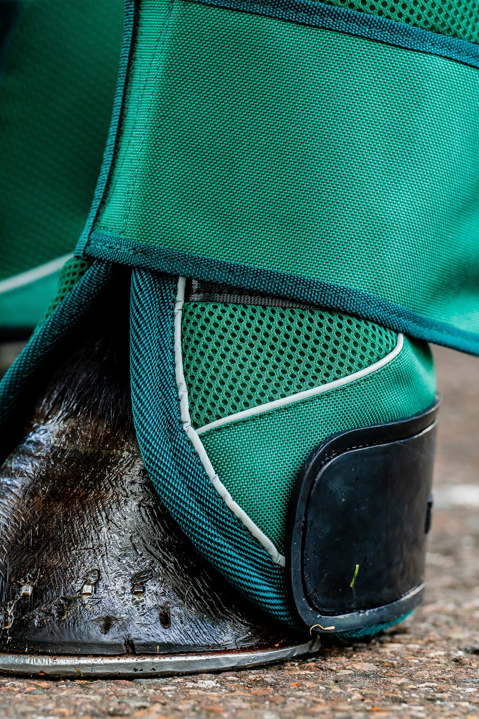 Horseware Signature Travel Boots Leg & Hoof Protection