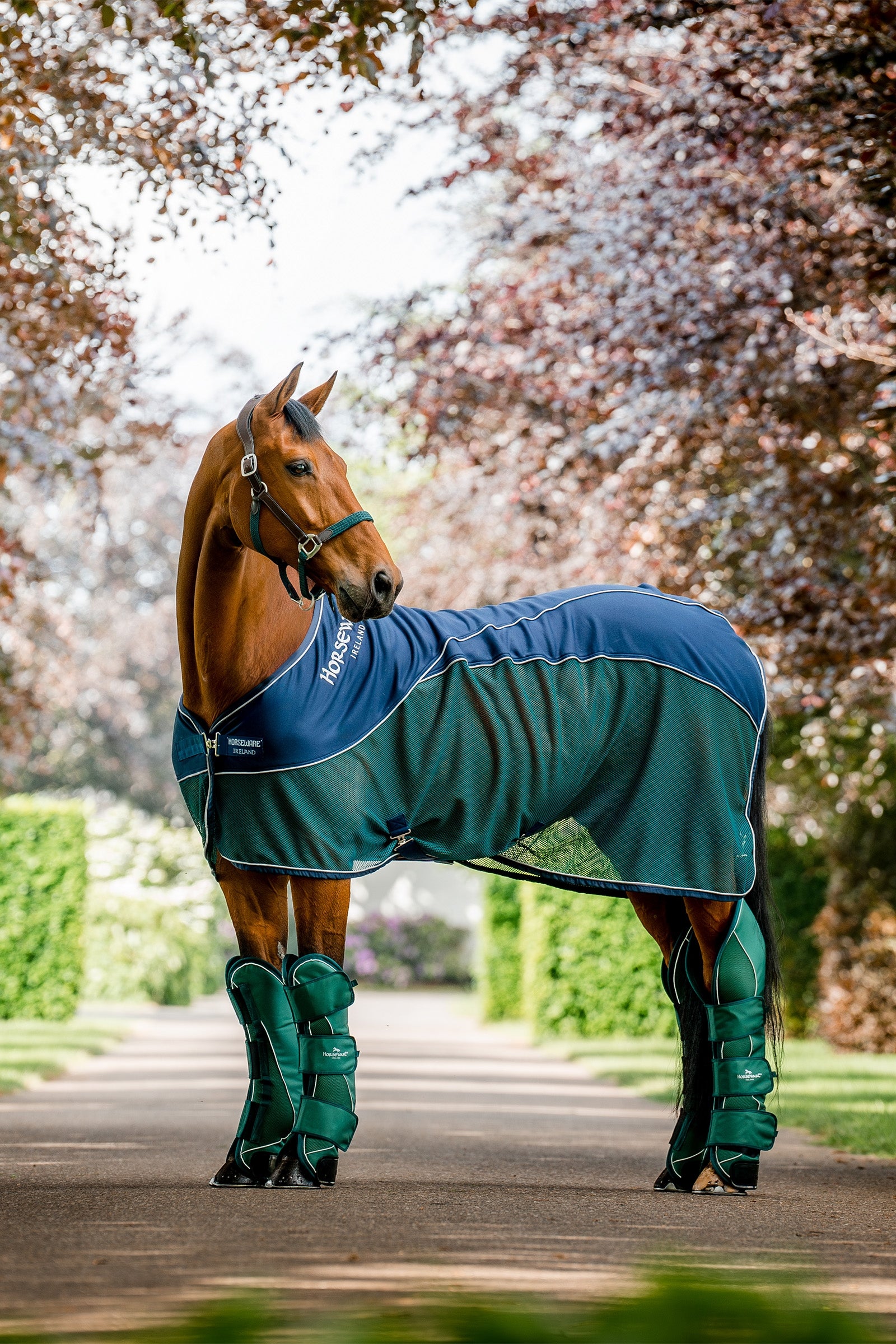 Horseware Signature Travel Boots Leg & Hoof Protection