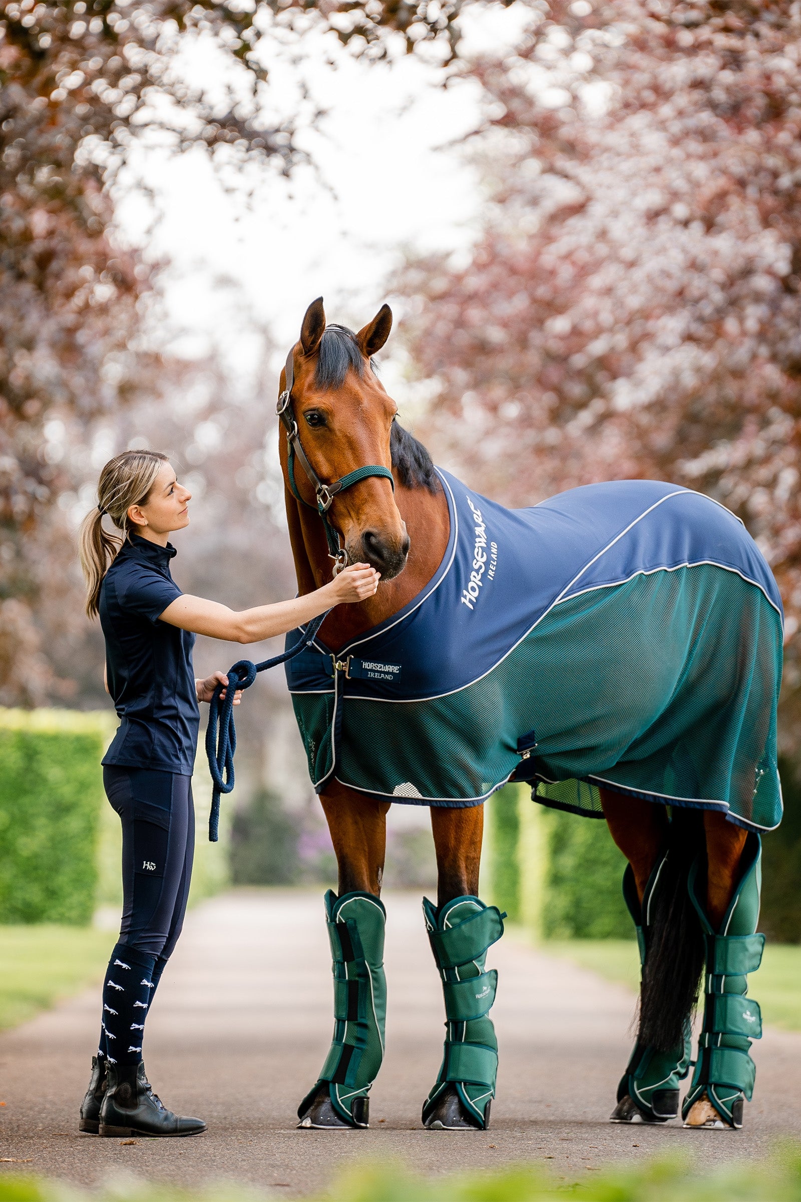 Horseware Signature Travel Boots Leg & Hoof Protection