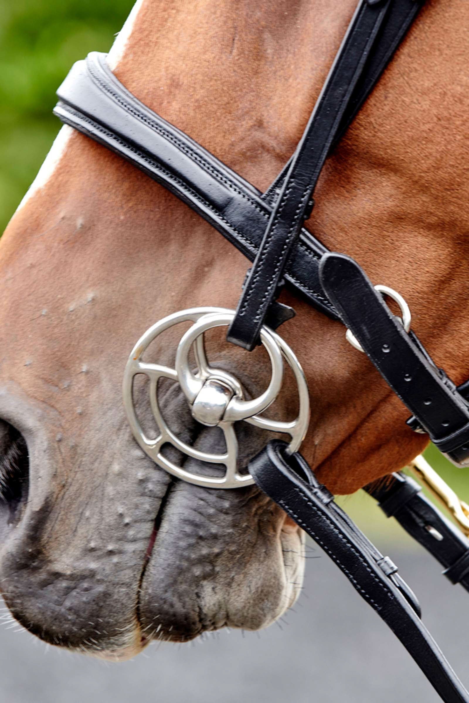 John Whitaker Lynton Snaffle Bridle with Spare Browband Bridles & Reins