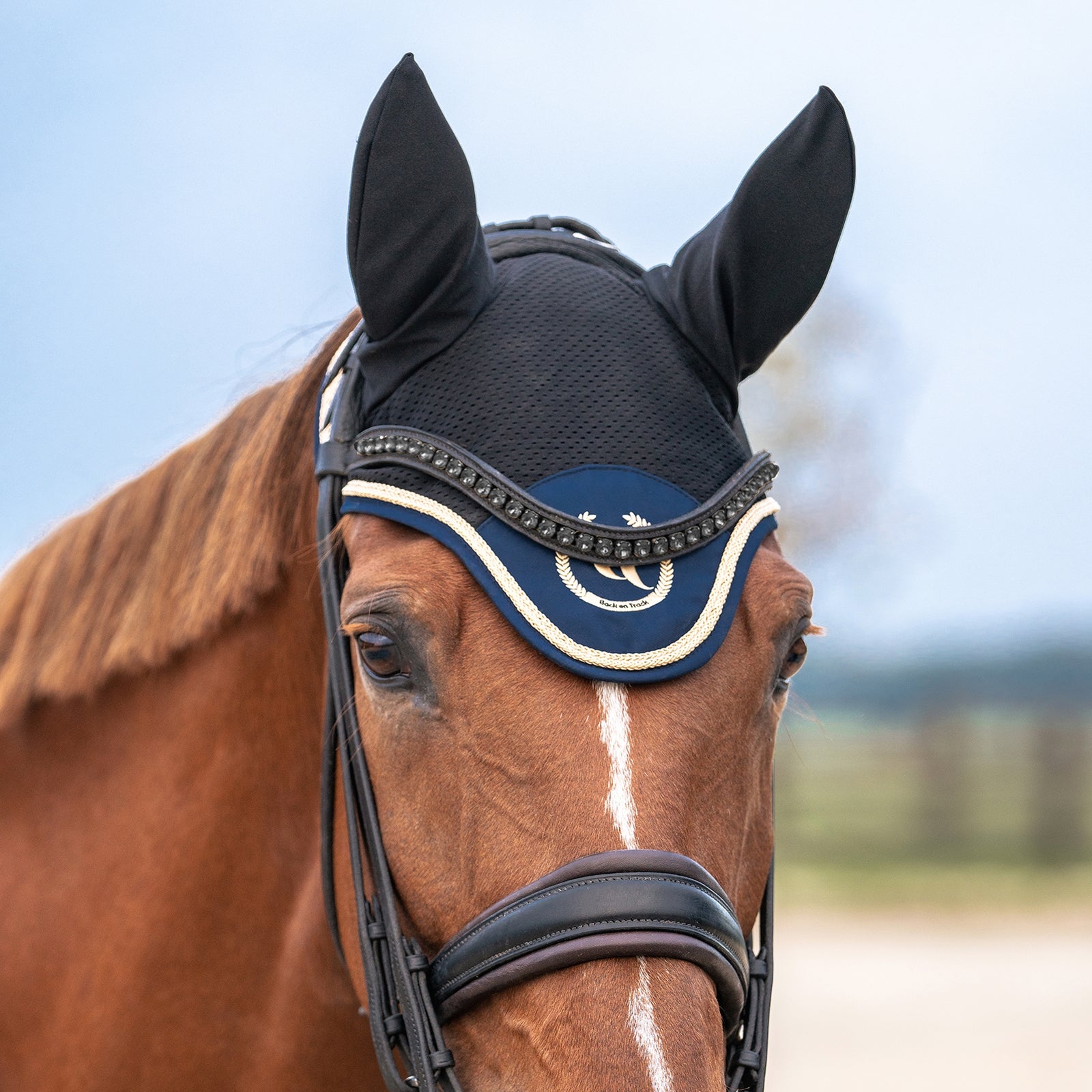 Back on Track Nights Collection Horse Bonnet With Welltex® Saddle Pads