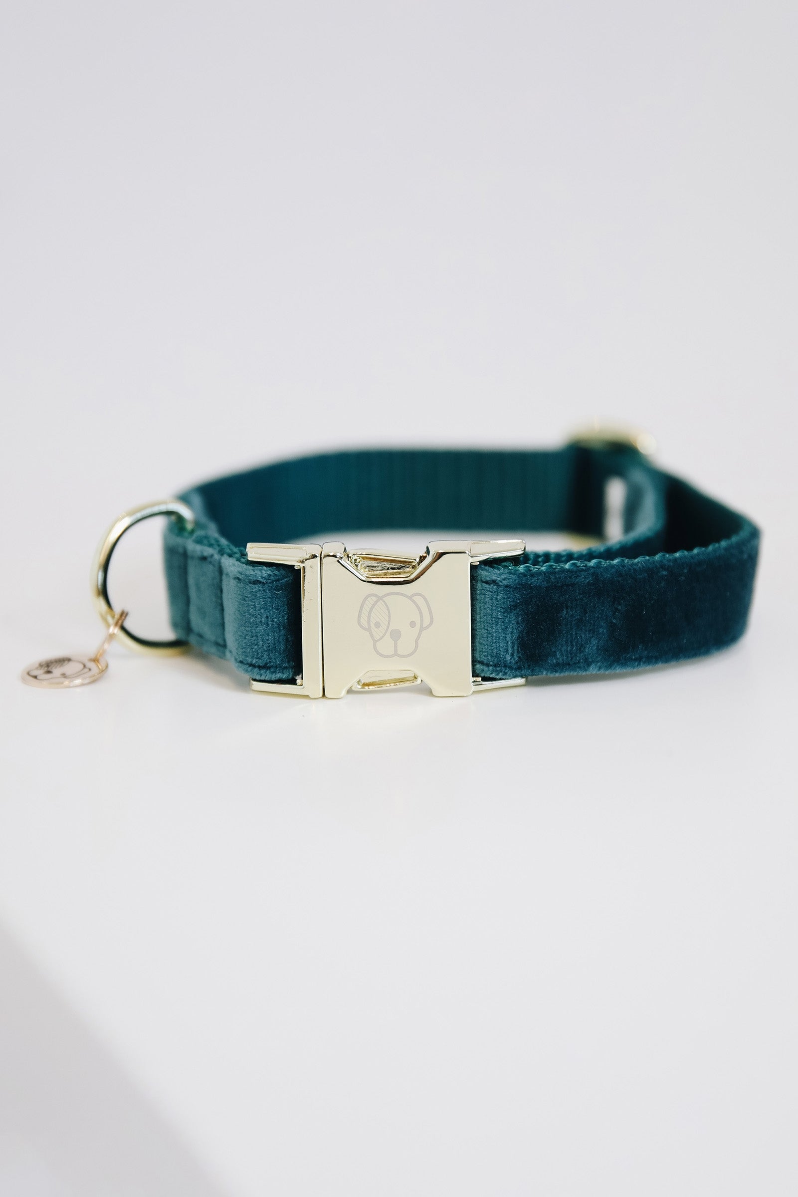 Kentucky Dogwear Dog Collar Velvet Dog Accesories
