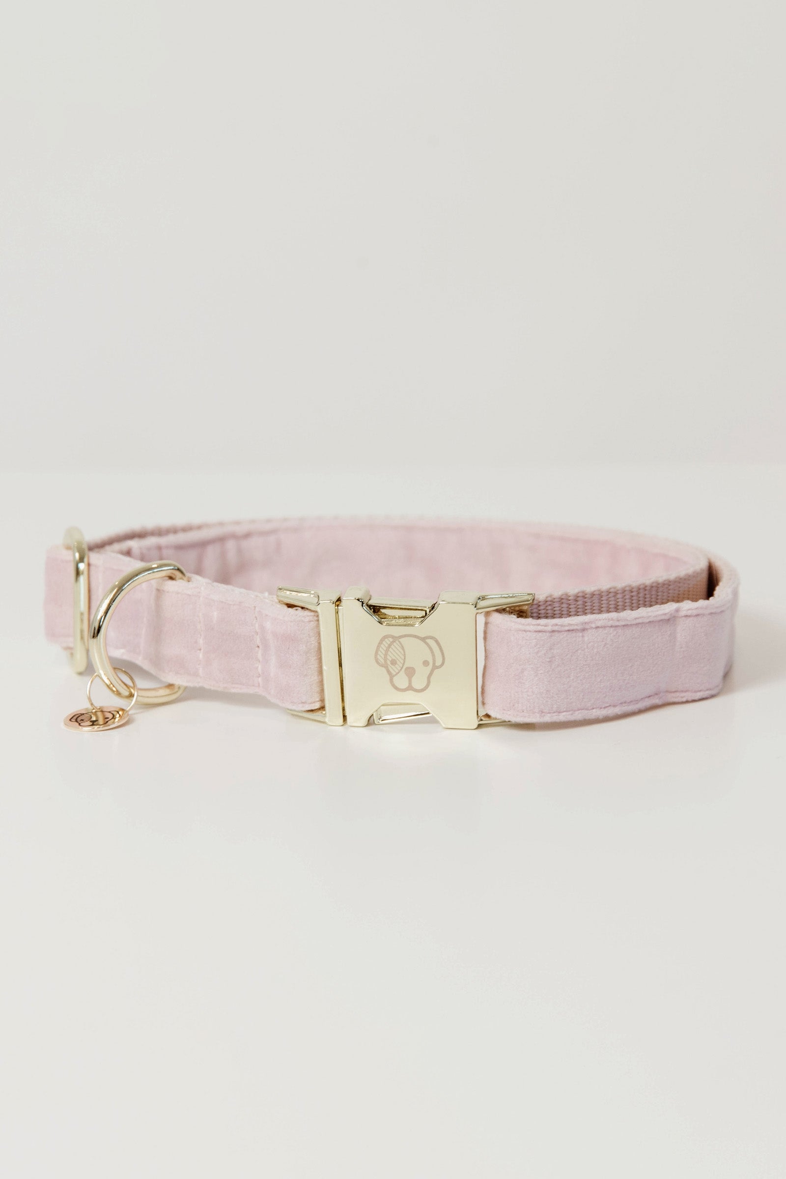 Kentucky Dogwear Dog Collar Velvet Dog Accesories
