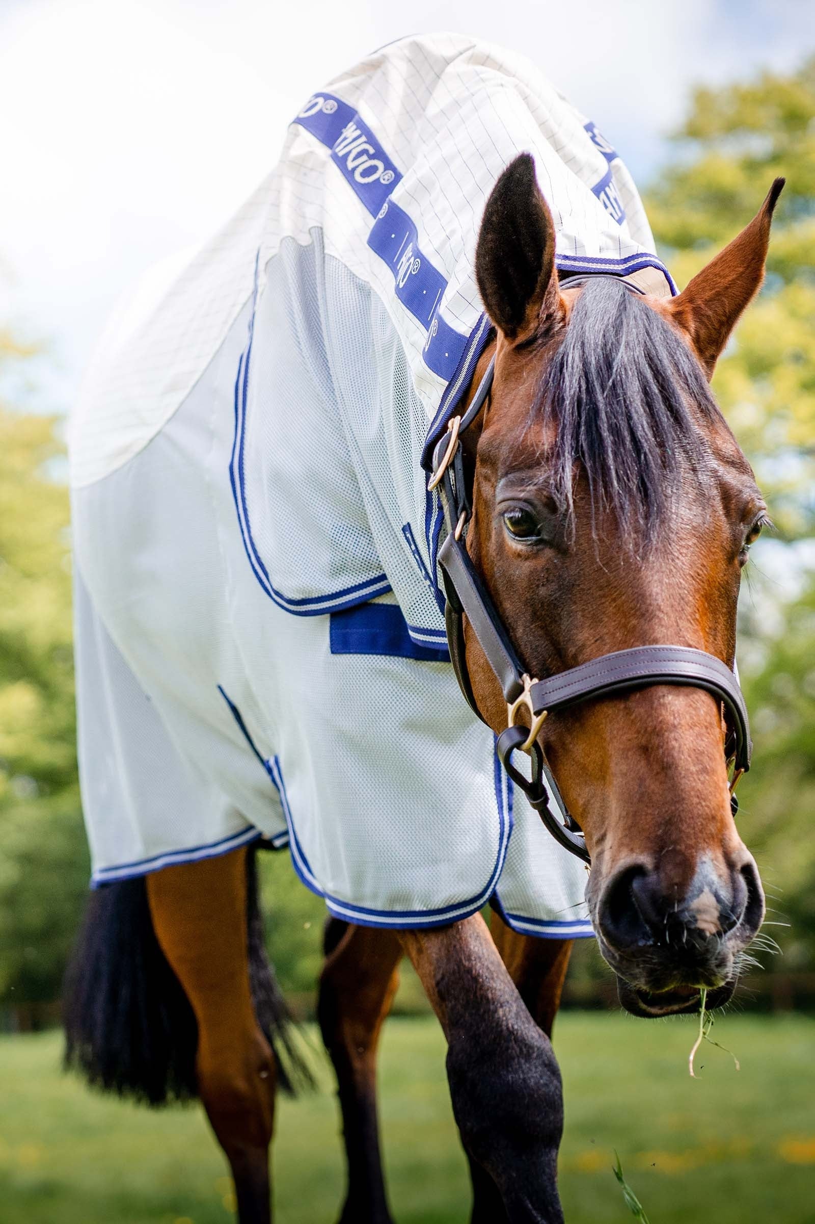 Horseware Amigo Airflow Fly Rug With Detachable Neck Horse Rugs