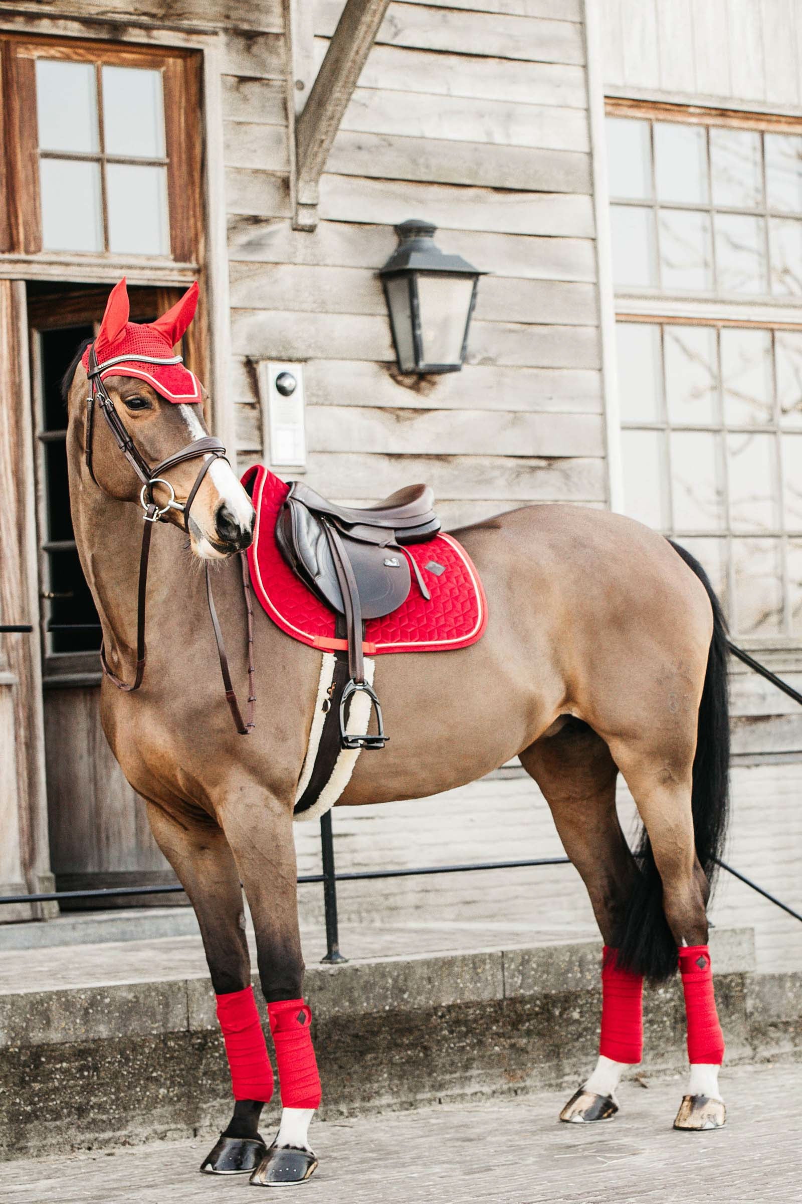 Kentucky Horsewear Velvet Jumping Saddle Pad Saddle Pads