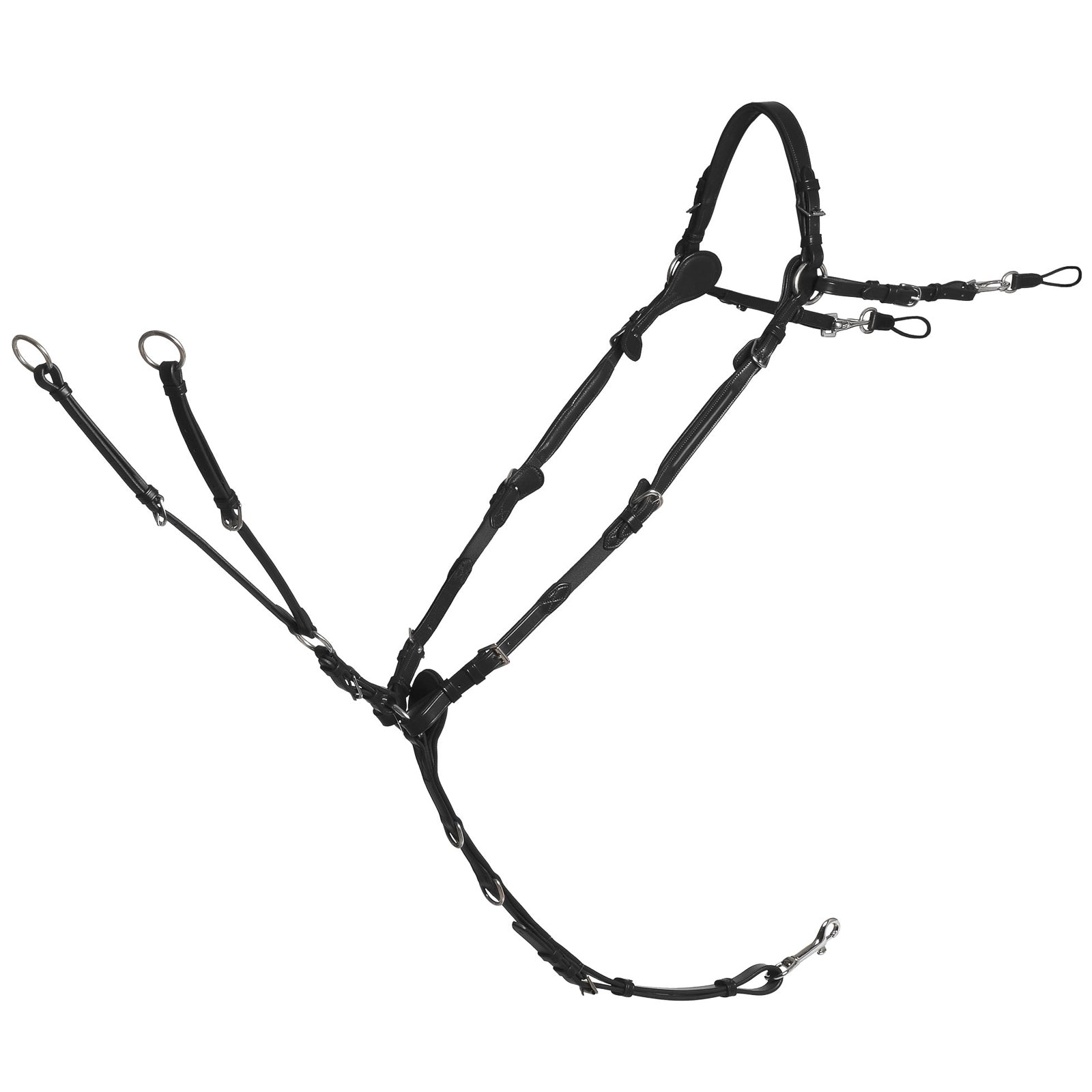Alt Tag fallback text for IMAGE