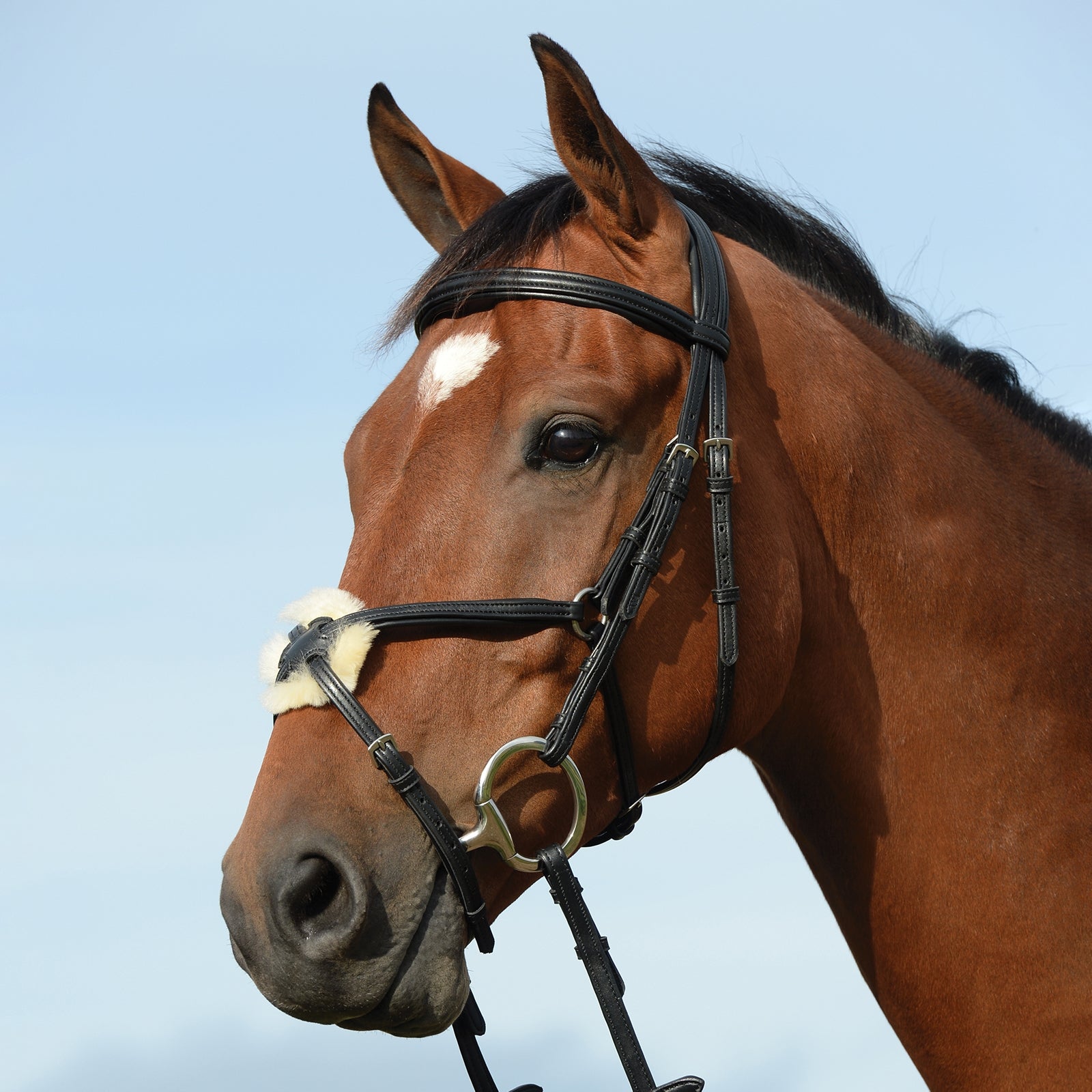 Collegiate Syntovia+ Padded Raised Figure 8 Bridle Bridles & Reins