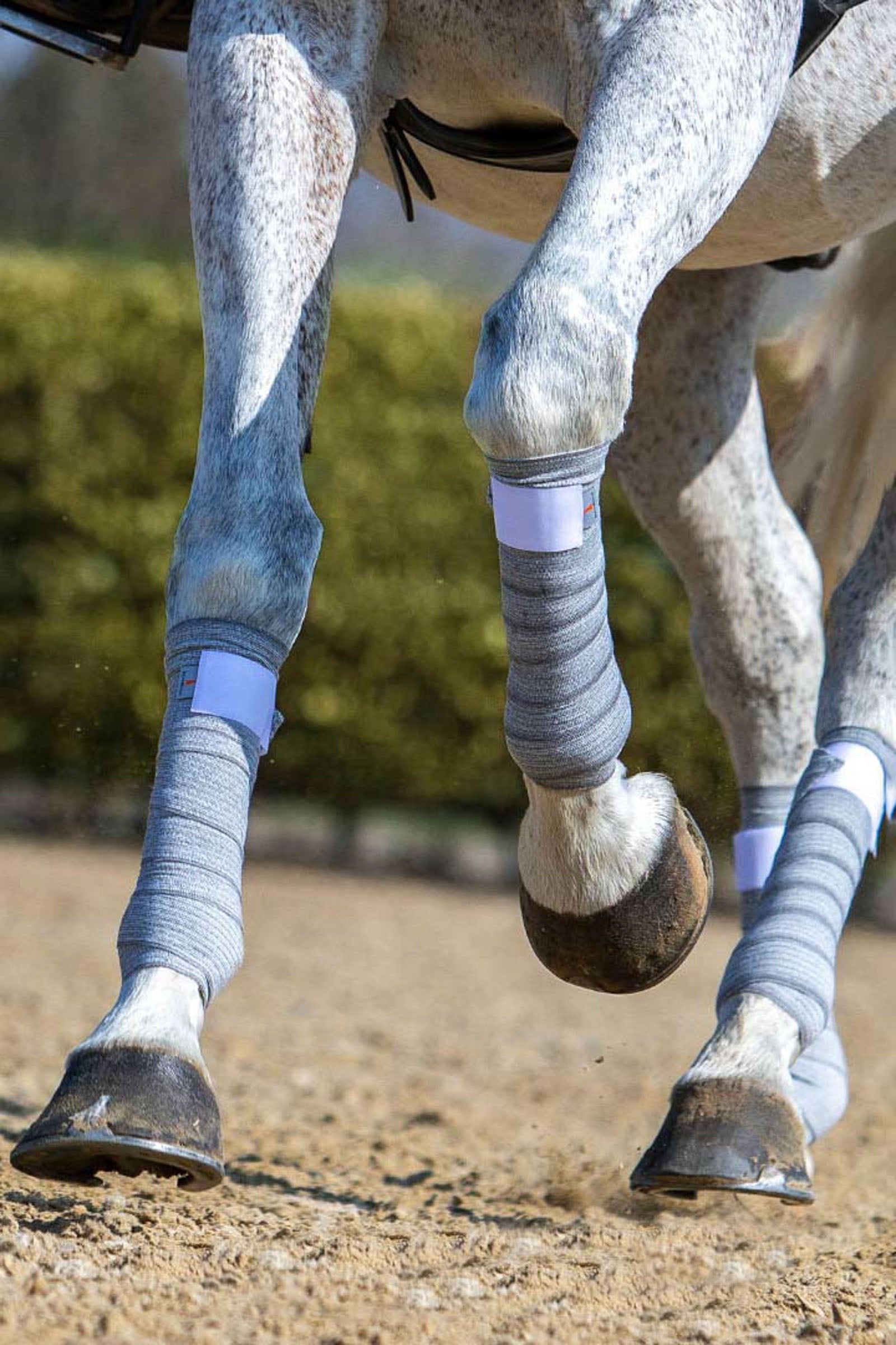 Incrediwear Circulation Bandages (12.5cm) Leg & Hoof Protection