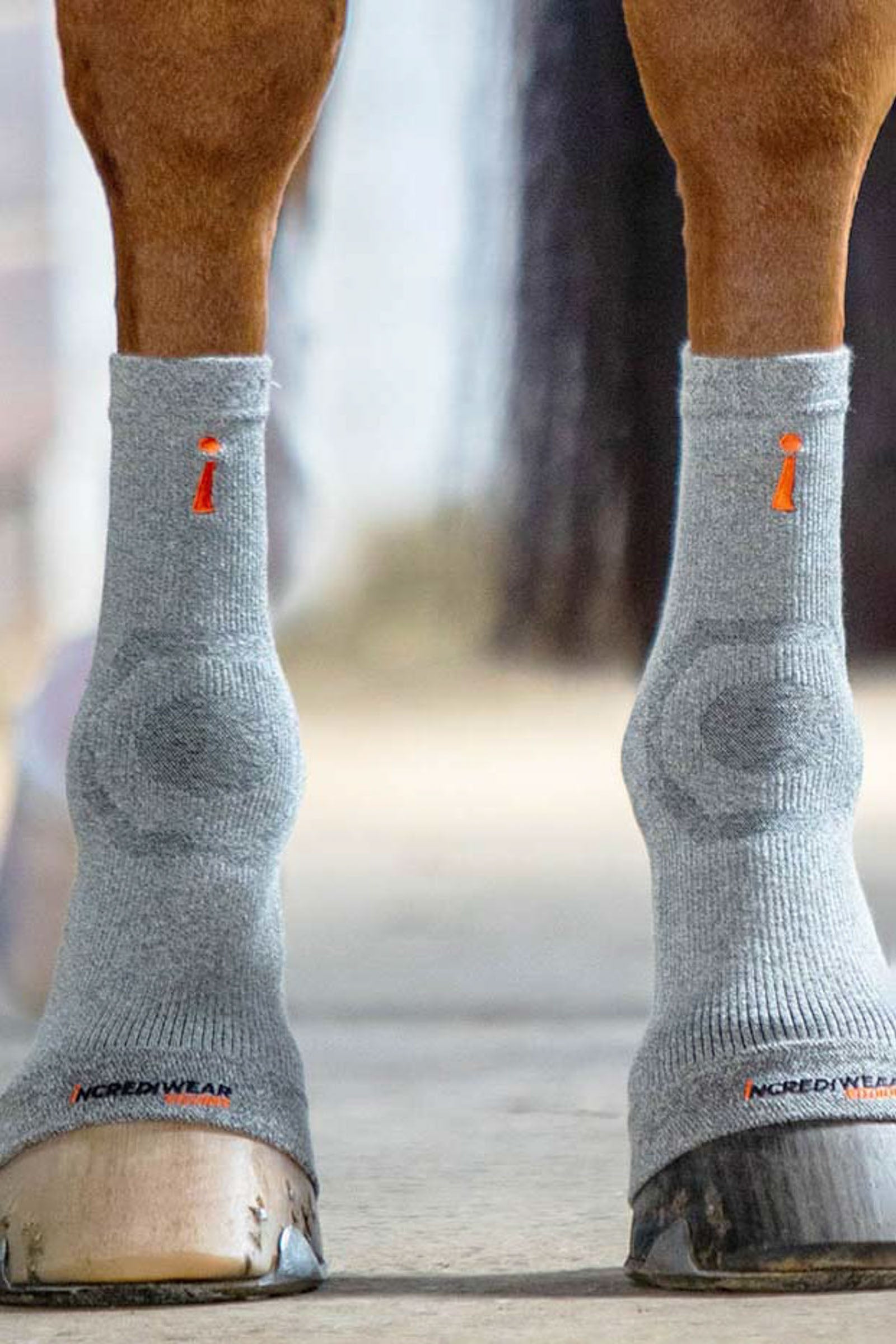 Incrediwear Equine Hoof Socks Leg & Hoof Protection