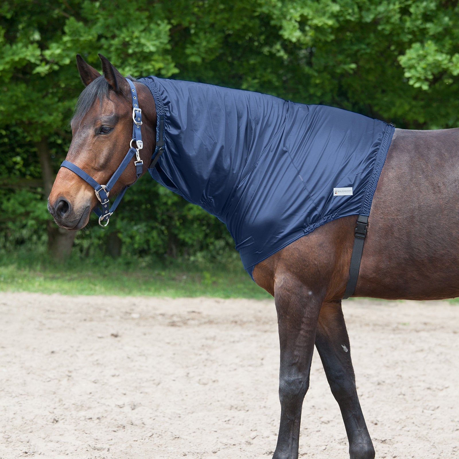 Waldhausen Eczema Neck Piece Horse Rugs