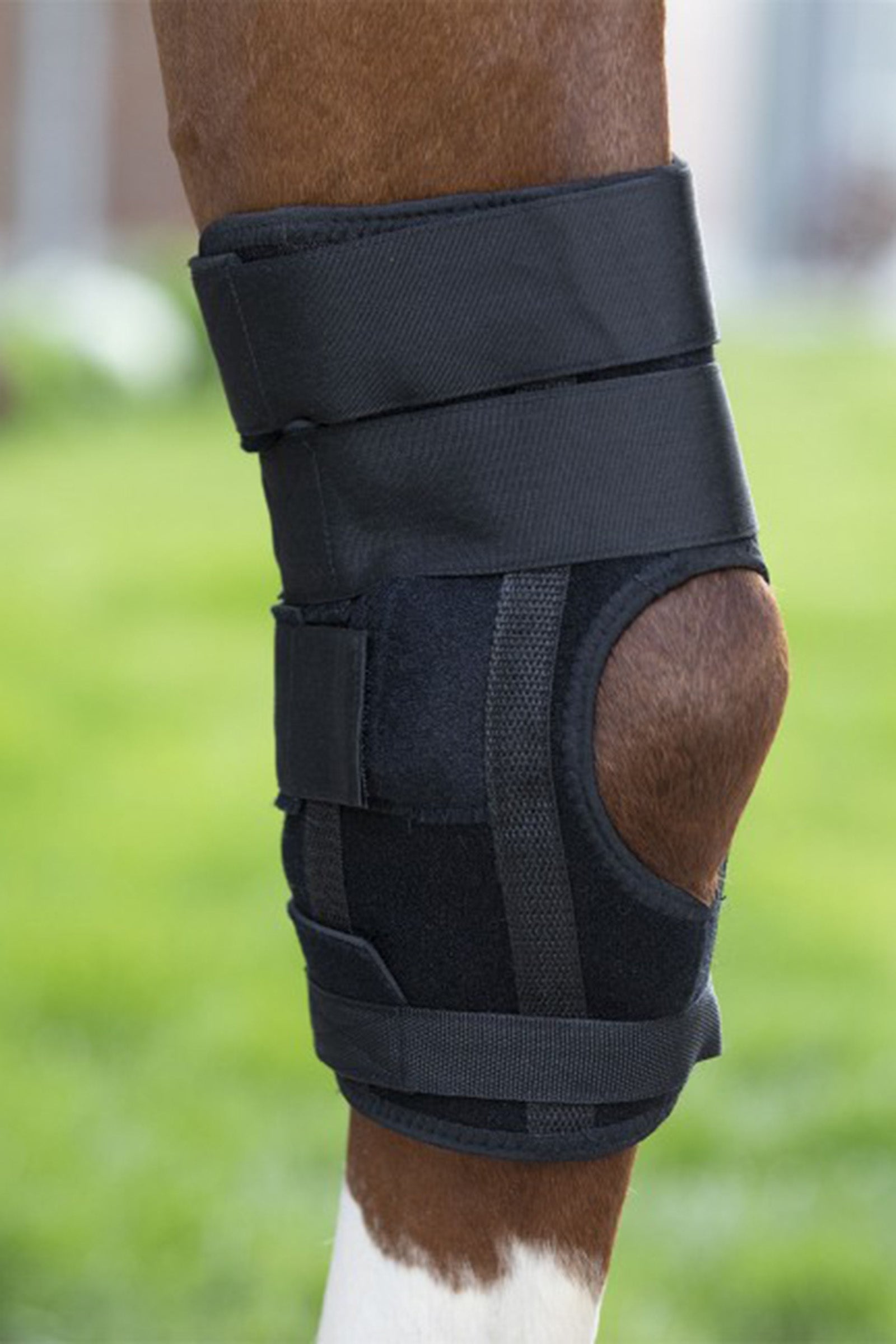 Waldhausen Health & Care Hock Boot Leg & Hoof Protection
