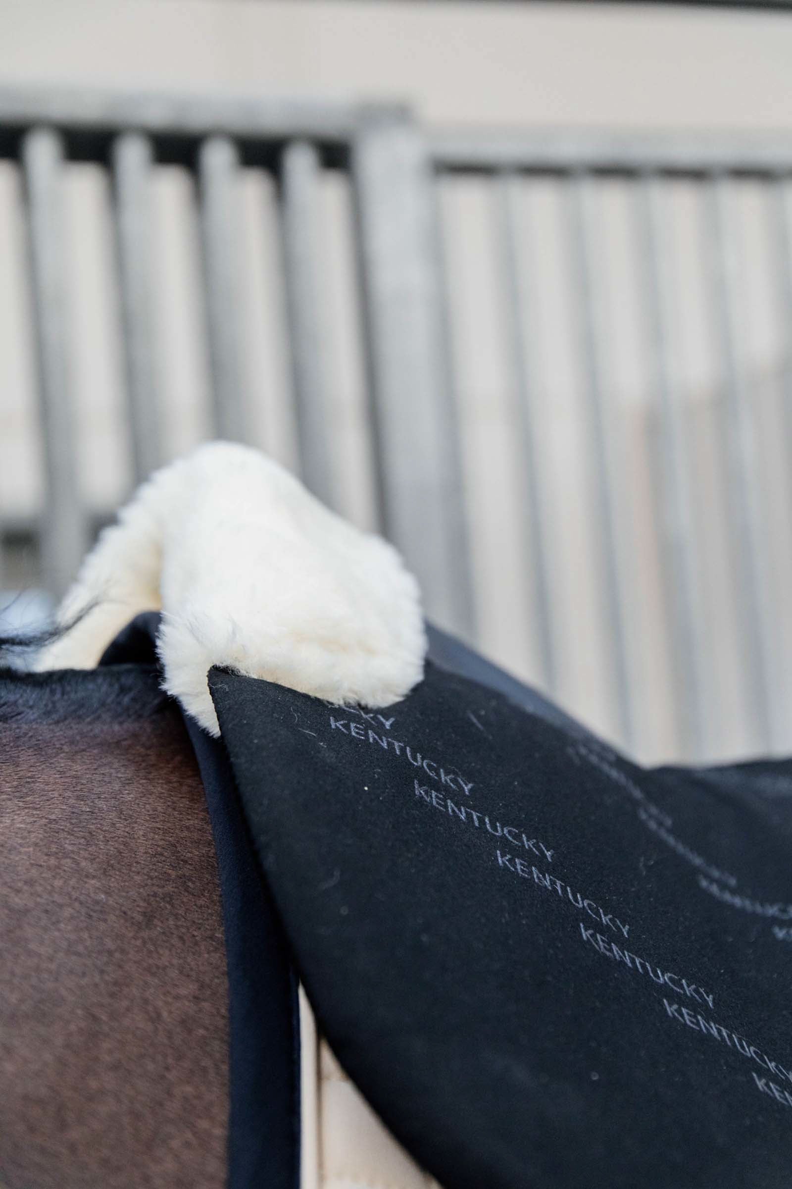 Kentucky Horsewear Half Pad Sheepskin Impact Equalizer Saddle Pads