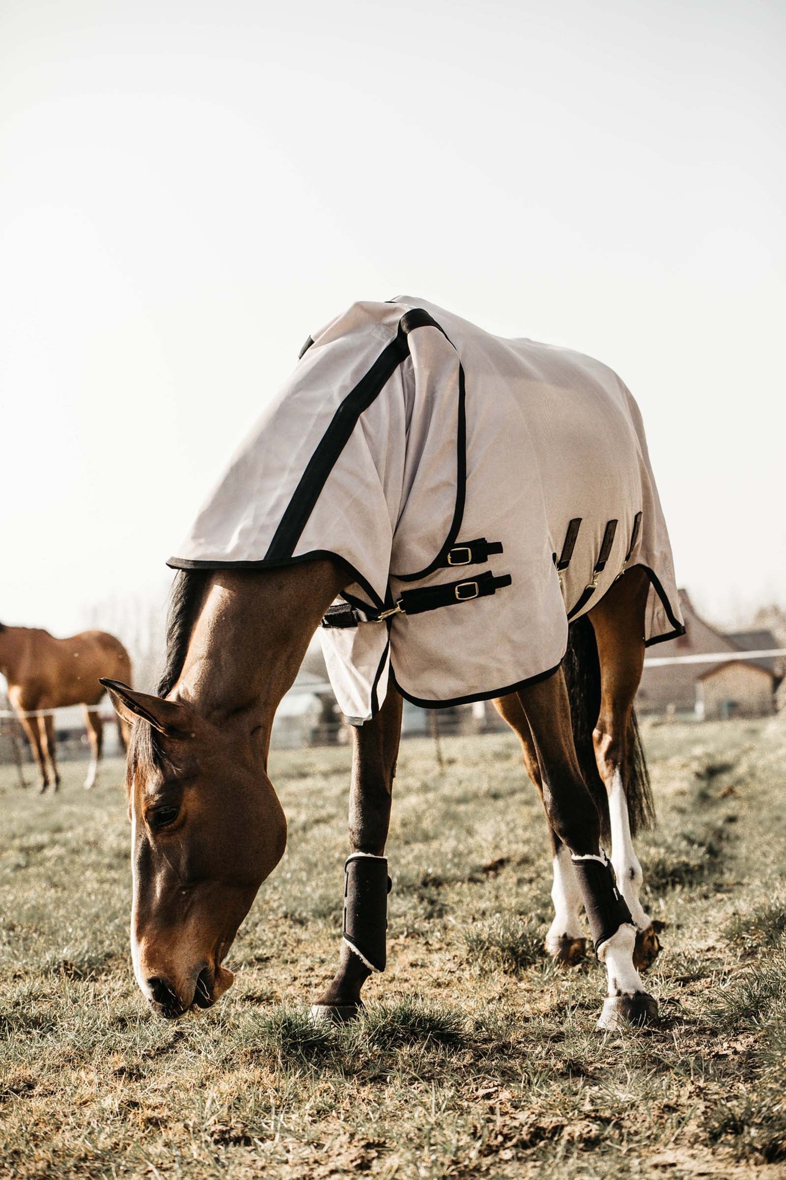 Kentucky Horsewear Mesh Fly Rug Horse Rugs