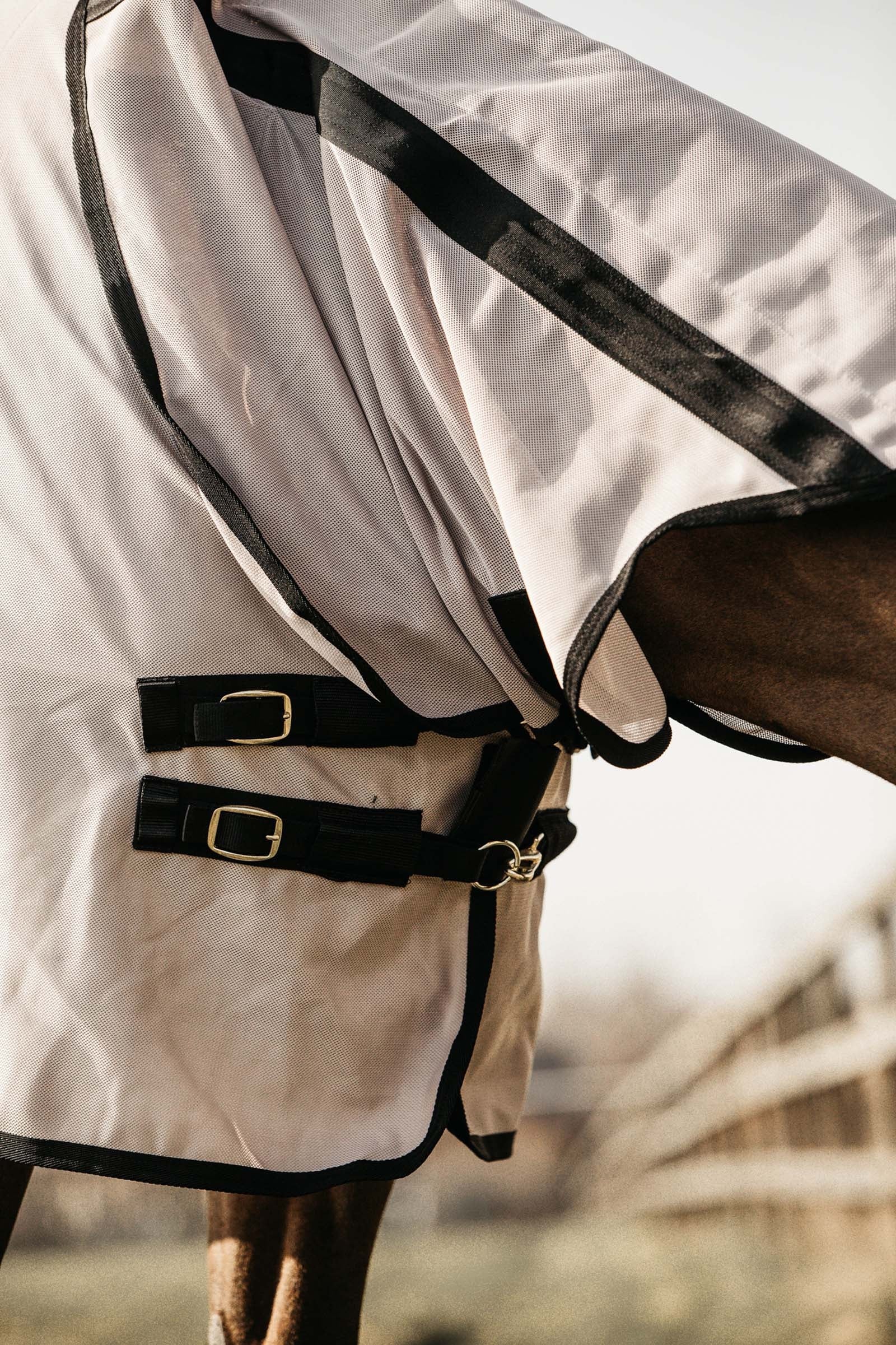 Kentucky Horsewear Mesh Fly Rug Horse Rugs