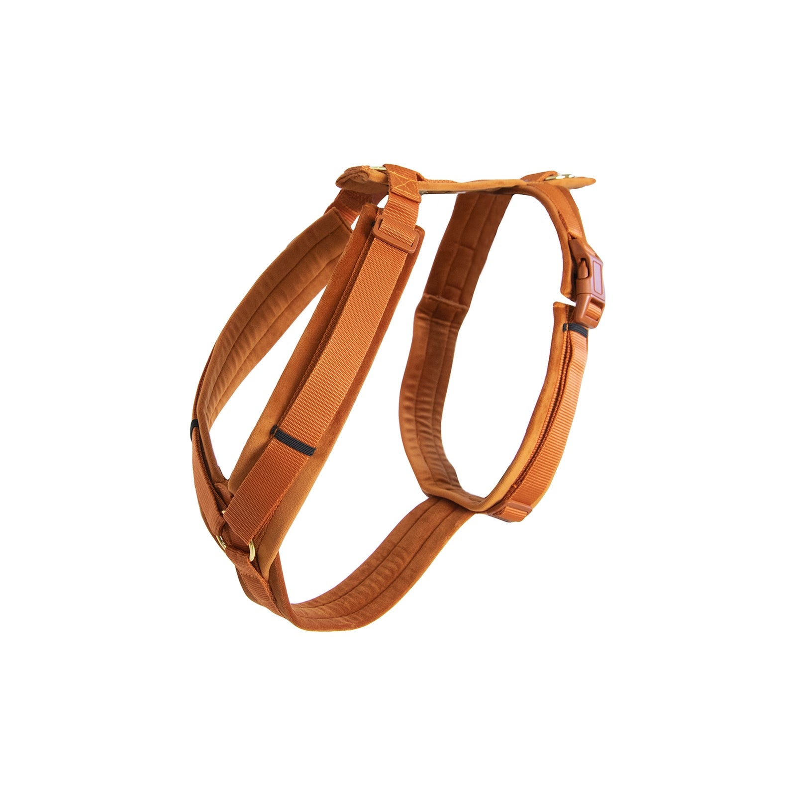 Kentucky Dogwear Active Velvet Harness Dog Accesories