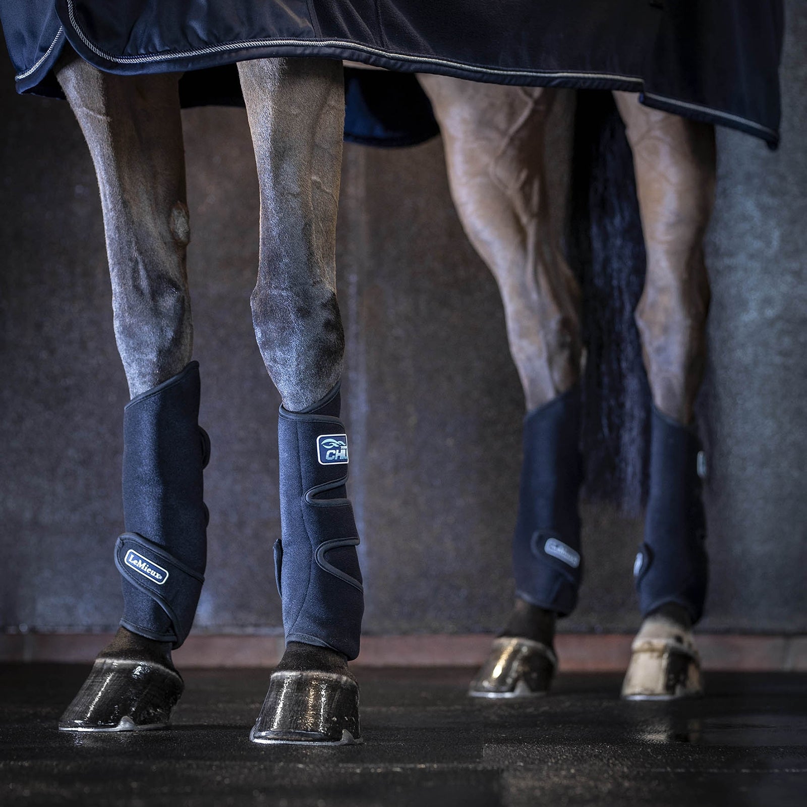 LeMieux Tendon Chill Bootss Leg & Hoof Protection